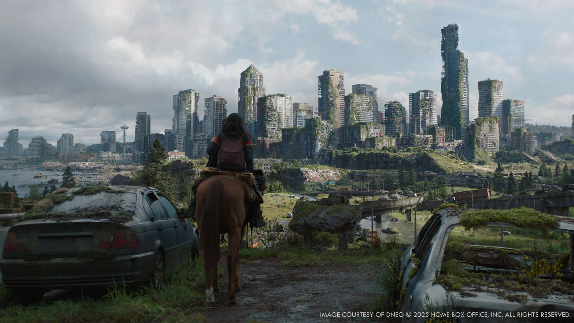The Last of Us