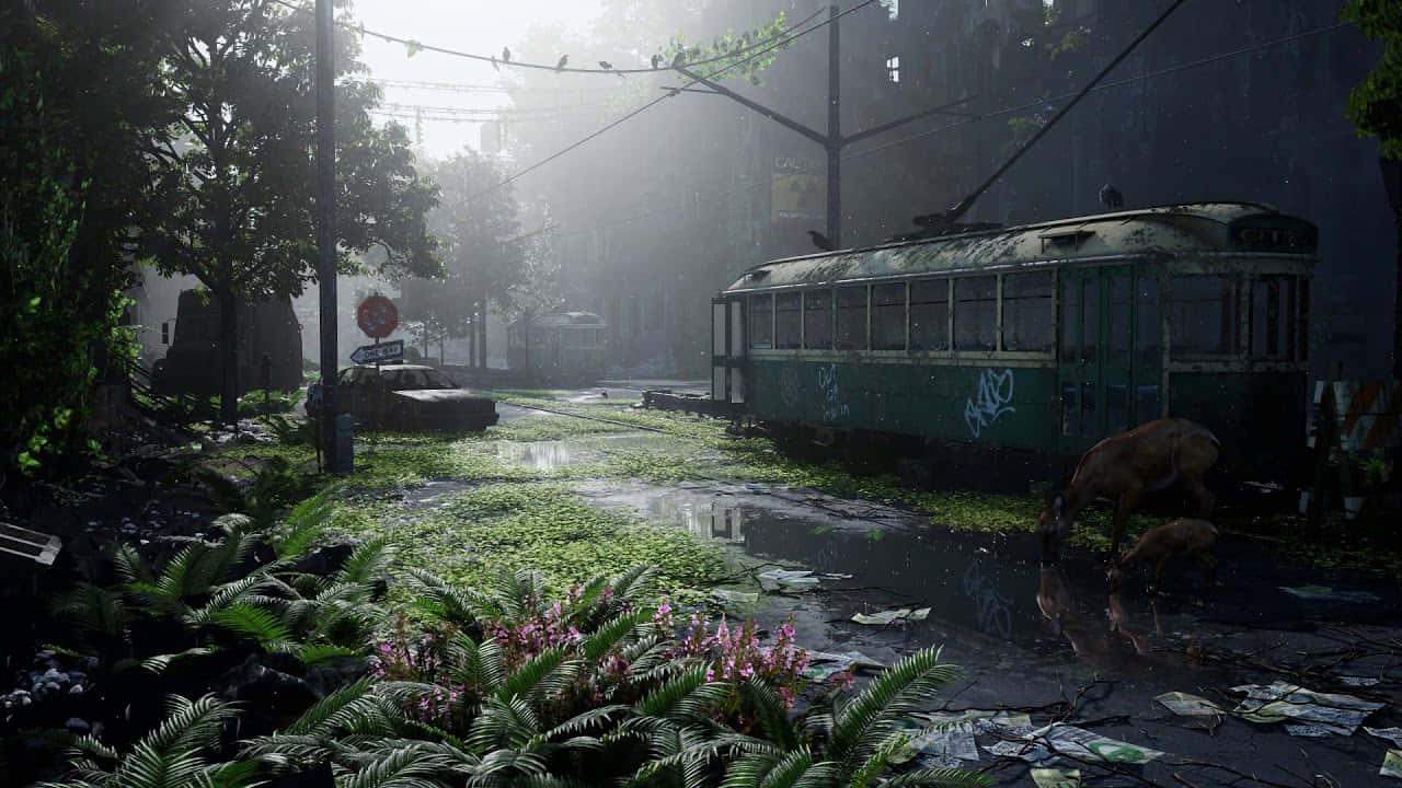 Download The Last Of Us Wallpaper