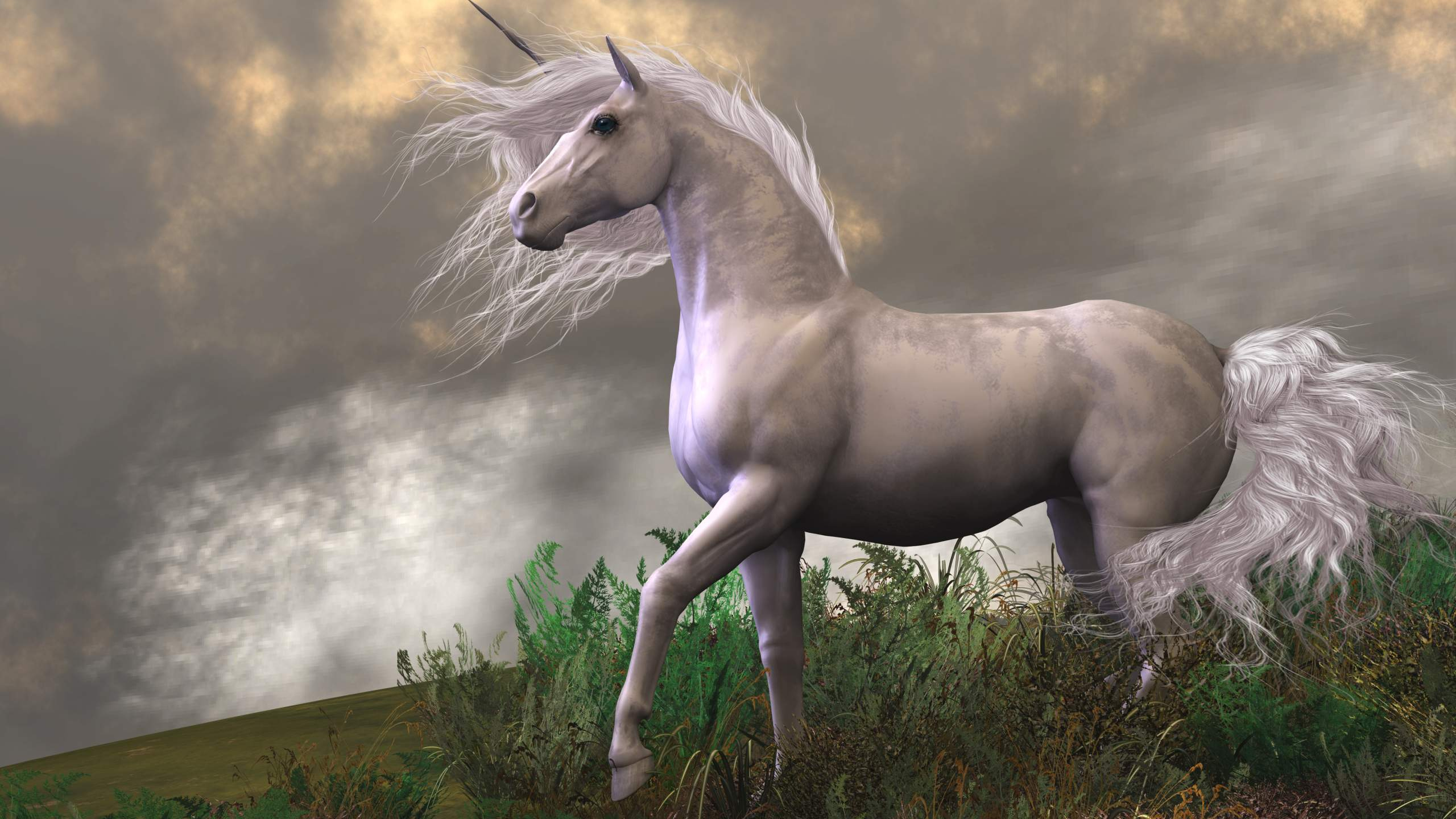 Download White Unicorn, White, Unicorn Wallpaper in 2560x1440 Resolution