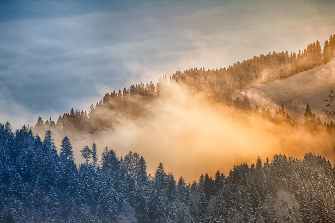 Nature Landscape Winter
