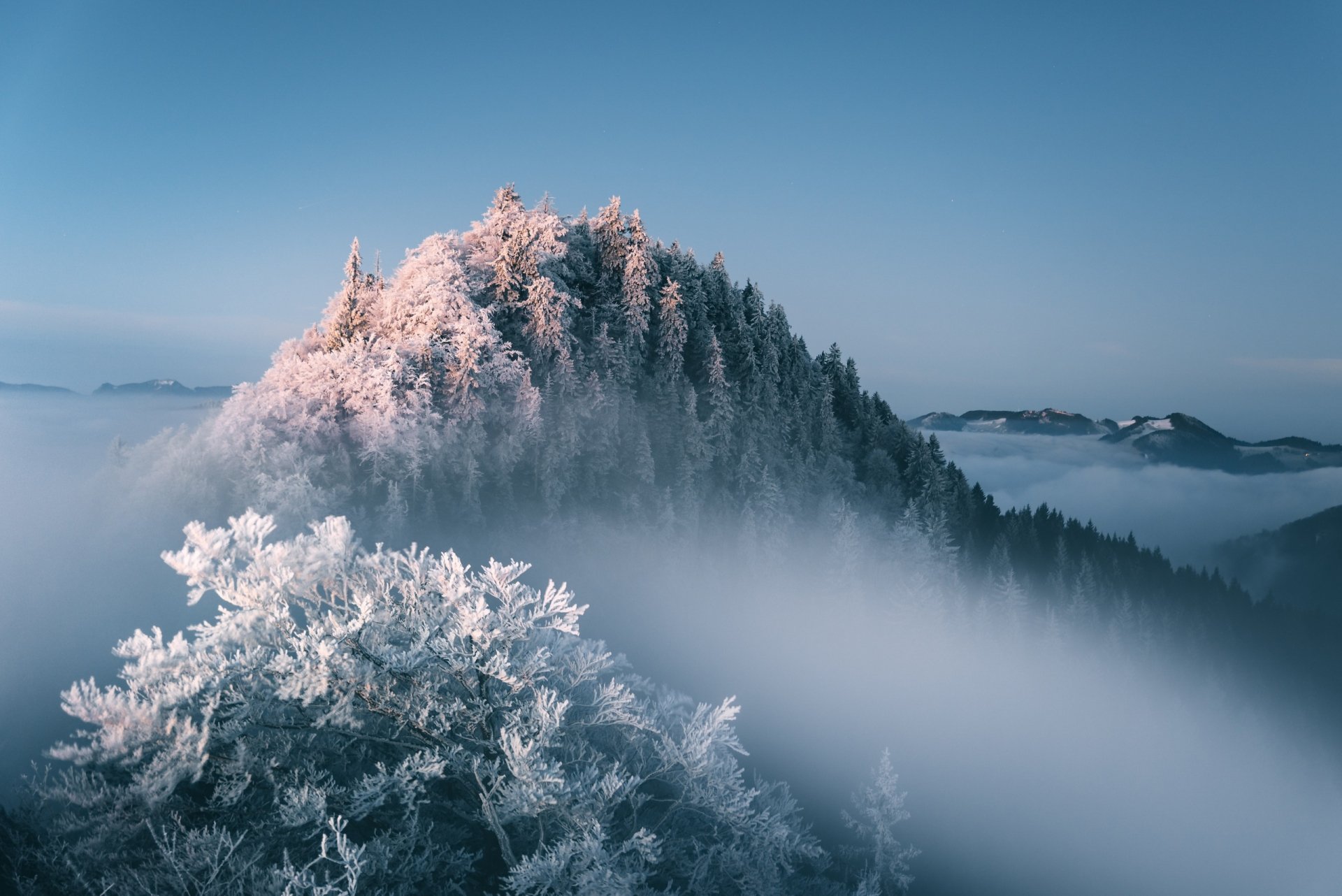 Winter's Embrace: Stunning Foggy Nature HD Wallpaper