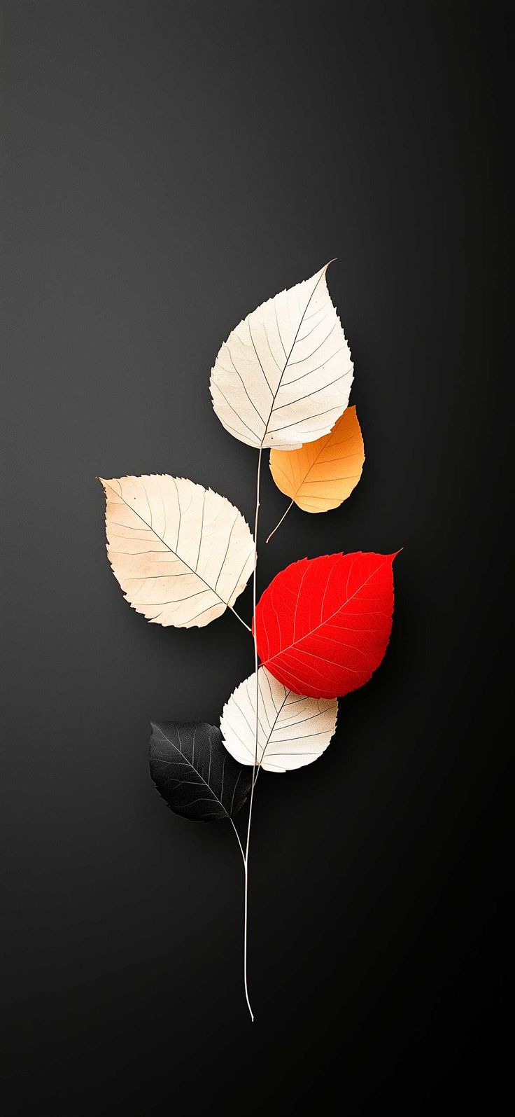 Fall Minimalist Wallpaper For A