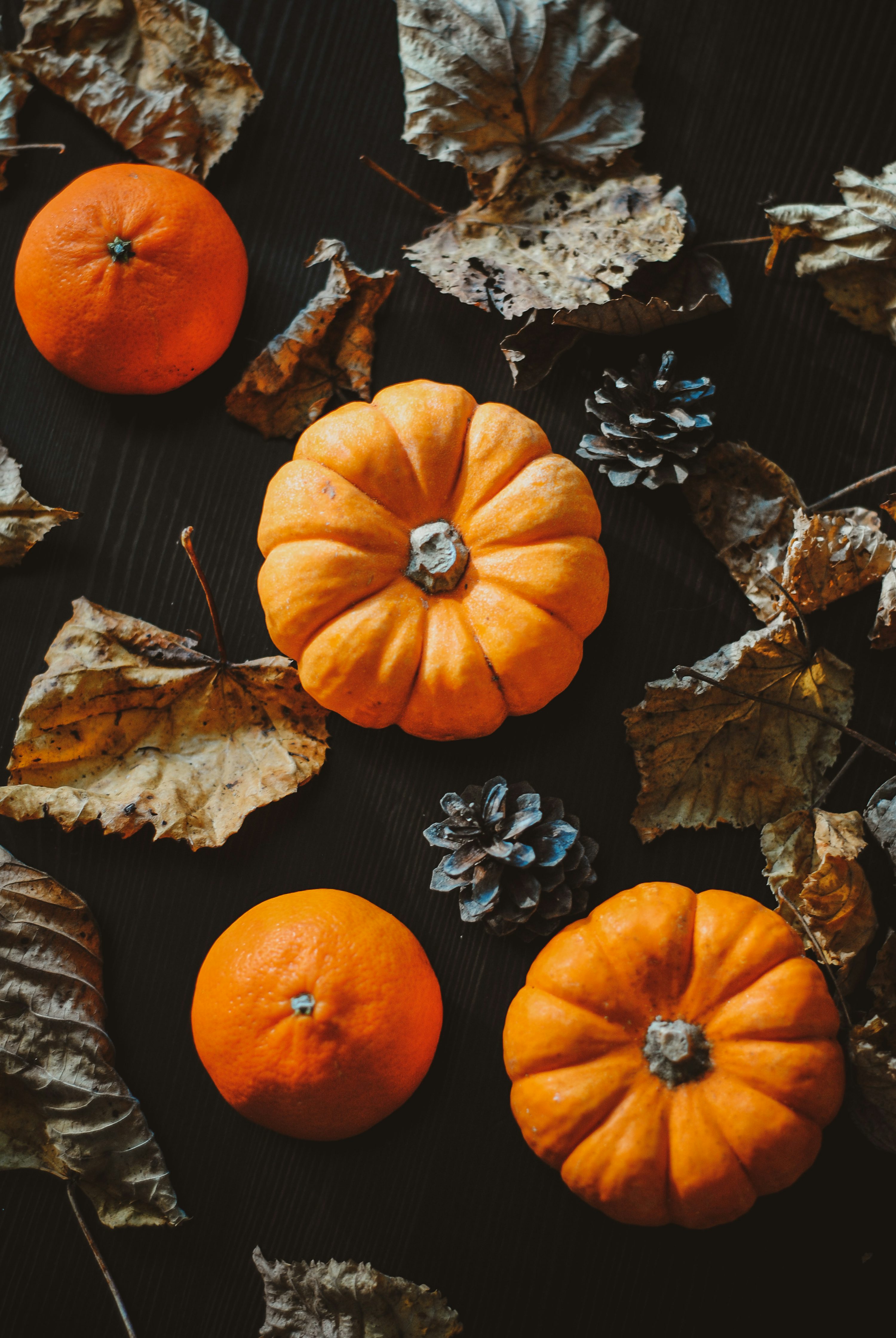 Orange pumpkins on black surface photo