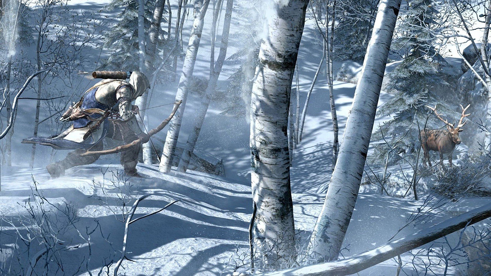 video, Games, Winter, Assassins, Creed Wallpaper HD / Desktop and Mobile Background