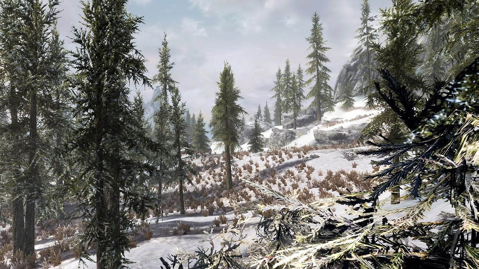 Video games and the power of winter