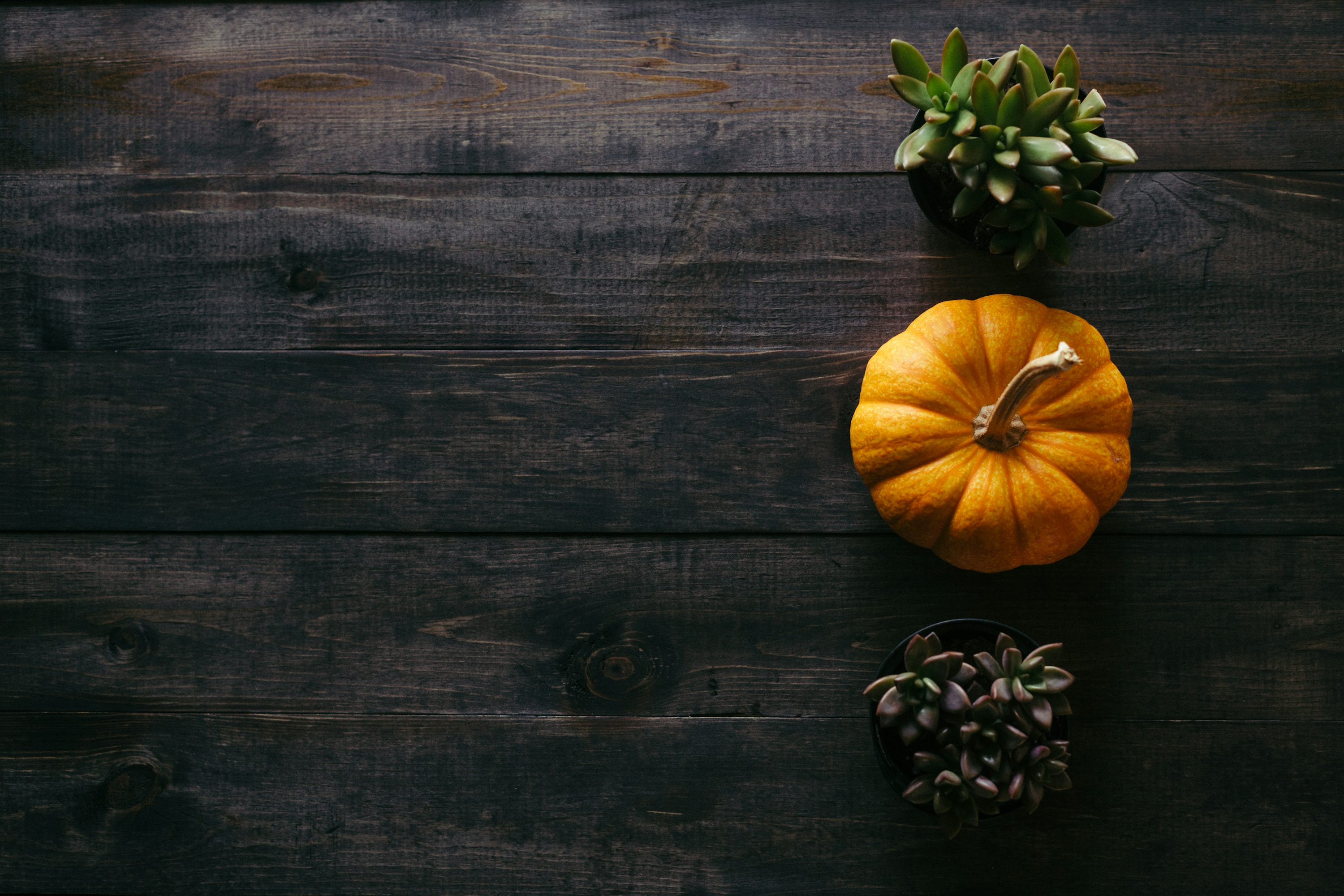 Thanksgiving Wallpaper: Free HD Download [4K]