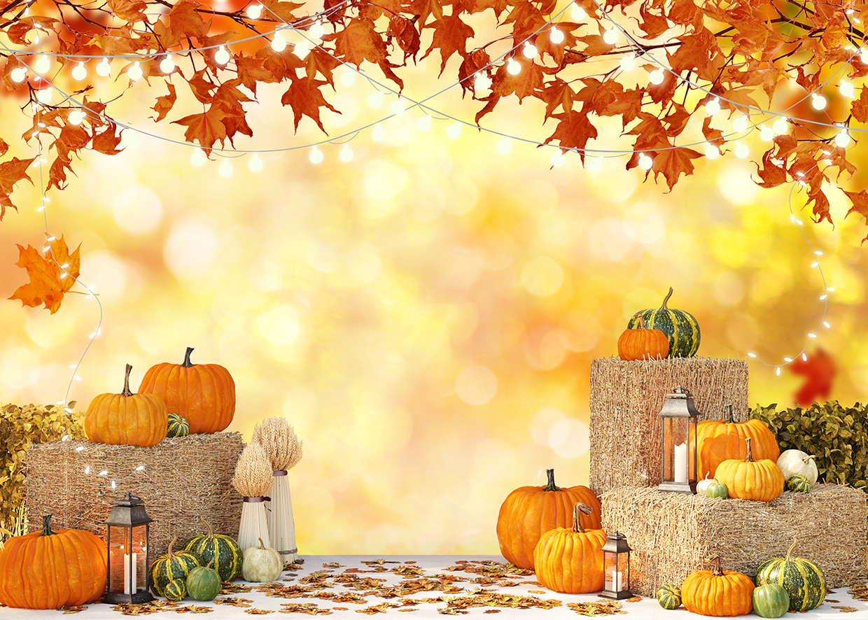 Amazon.com, Alltten 7x5FT Fall Thanksgiving Backdrop Thanksgiving Photo Backdrop Autumn Pumpkin Harvest Background Fall Theme Decoration Props F2