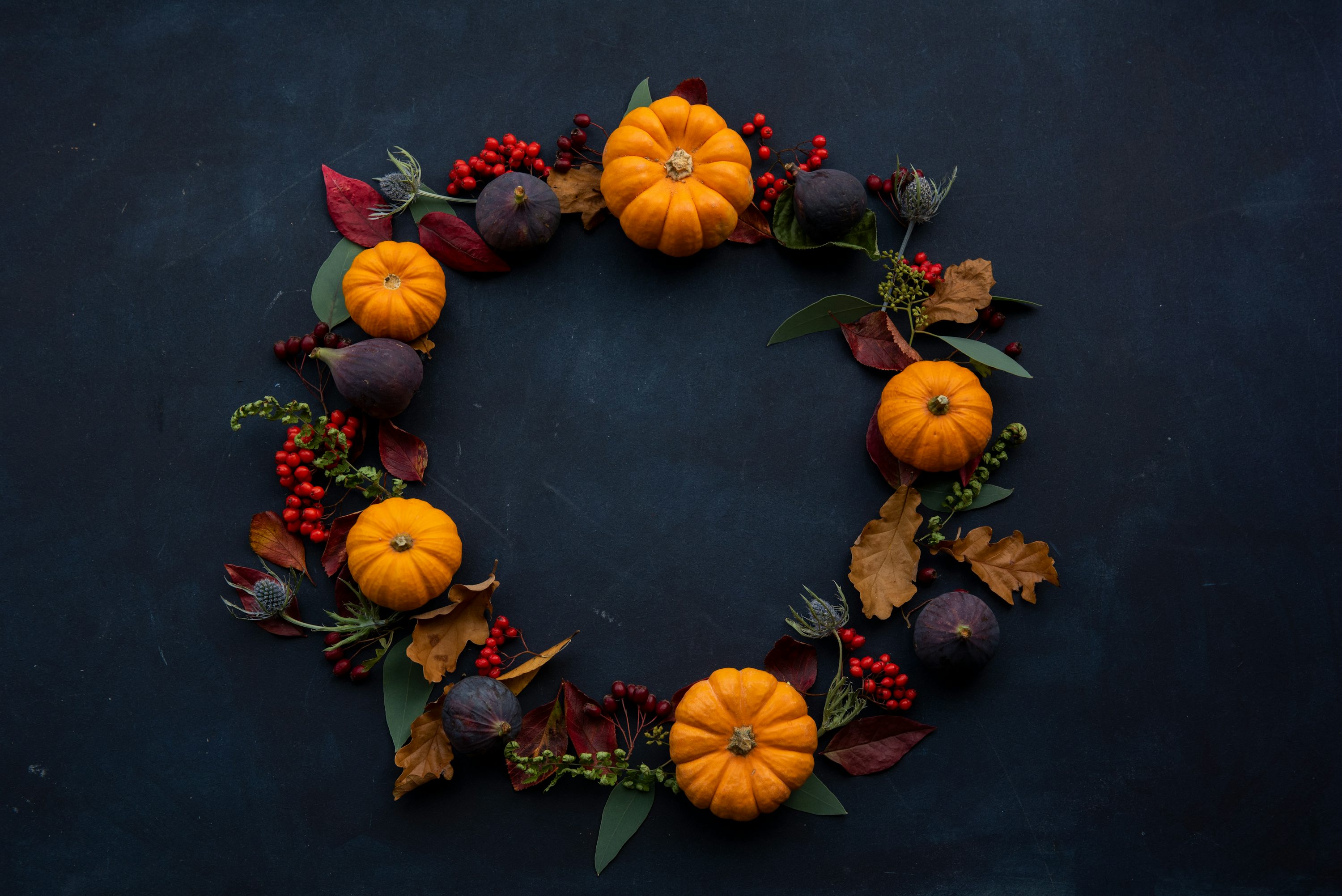Thanksgiving Wallpaper: Free HD Download [4K]