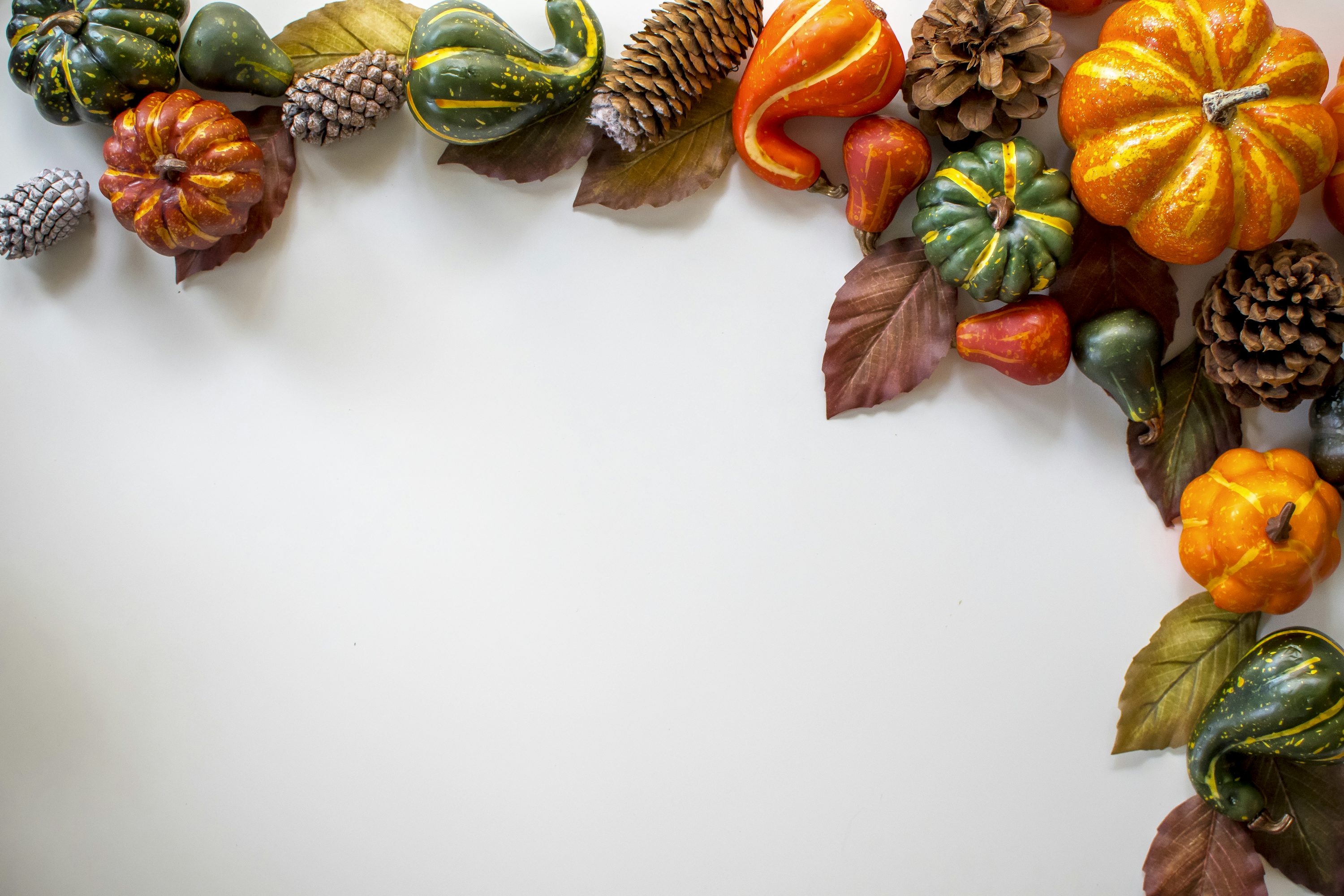 Thanksgiving Wallpaper: Free HD Download [4K]