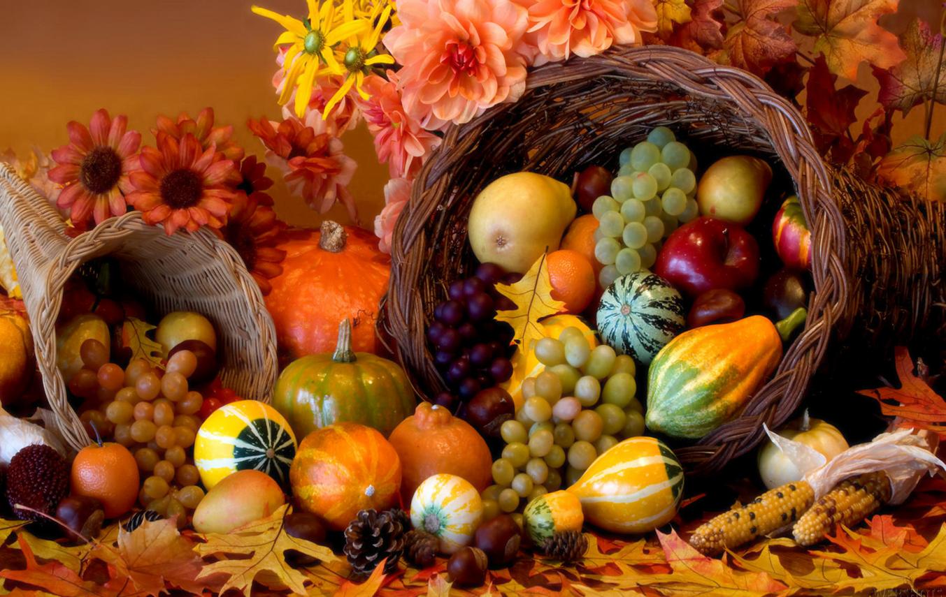 From our club to you. Happy Thanksgiving. Rotary Club of Clarkston, Michigan USA