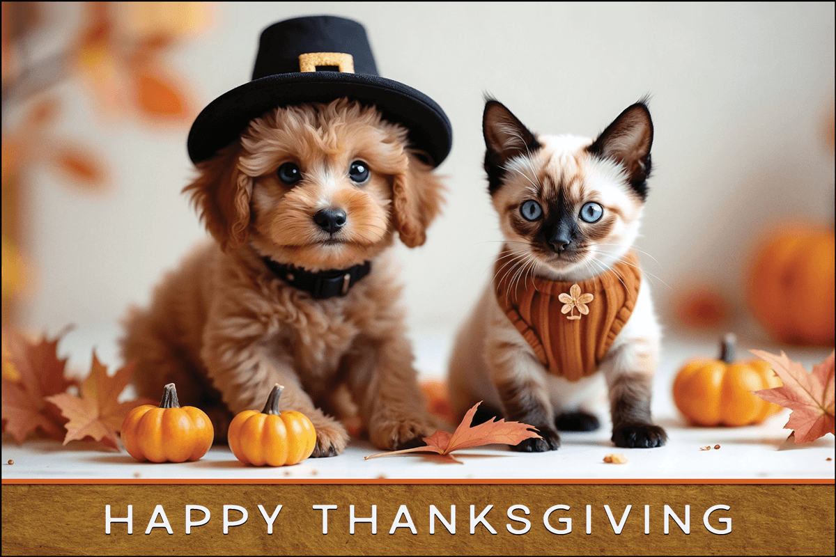 Pet Themed Thanksgiving Cards (GIVEPAIRG). Purchase Thanksgiving Cards For Veterinary Practices At MBSvet.com