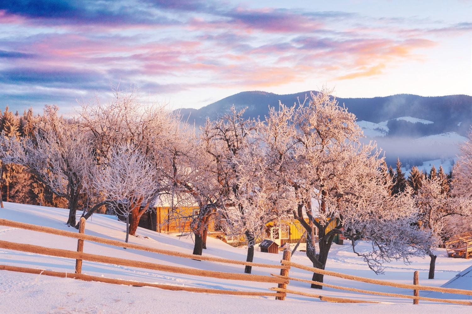 Pink Sky Winter Trees Farmhouse Photography Backdrop BRP9 282