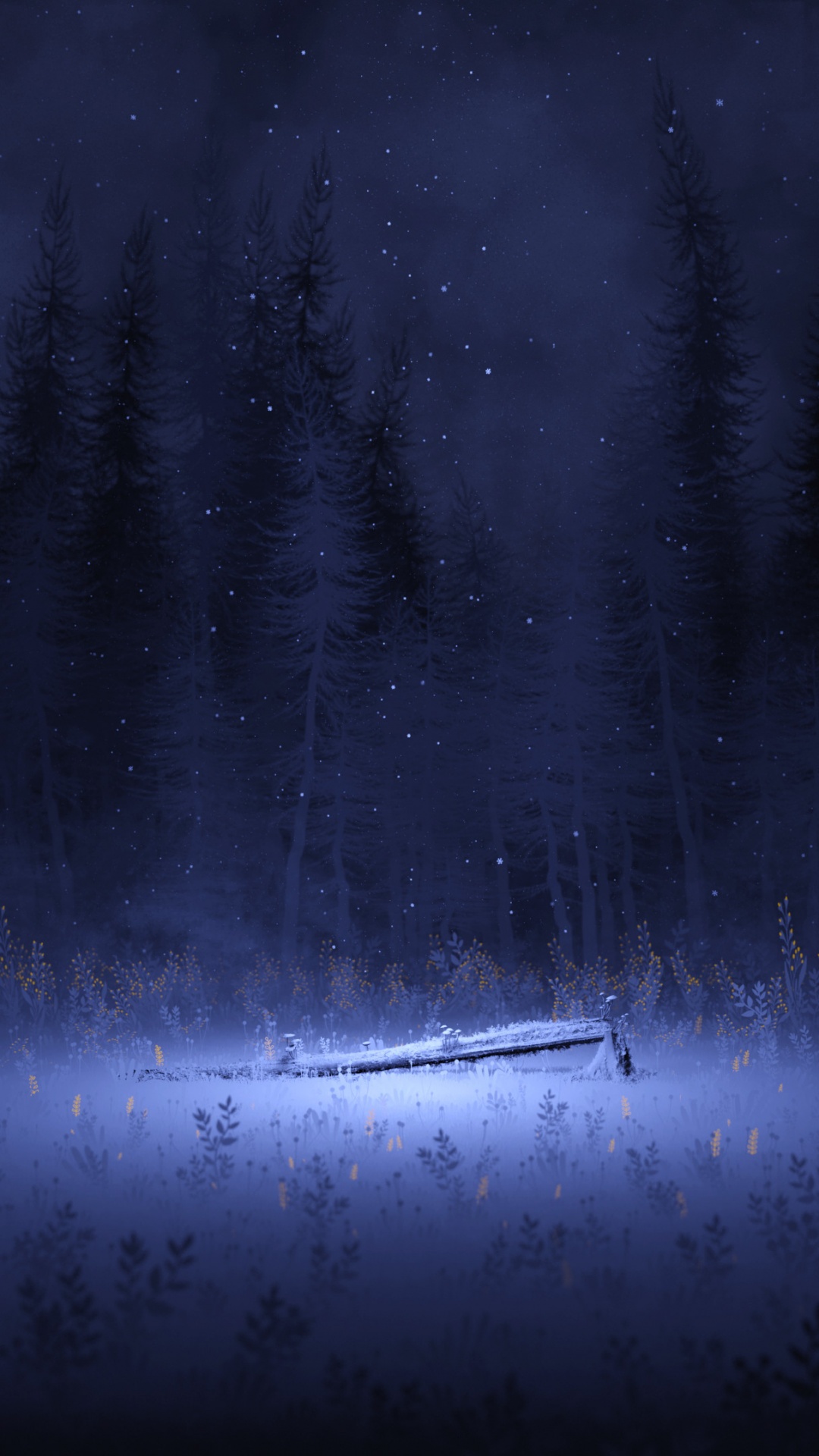 Light Wallpaper 4K, Night, Forest, Winter, Foggy