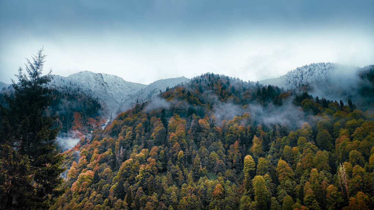 Foggy Autumn Landscape with Snowy Mountain · Free