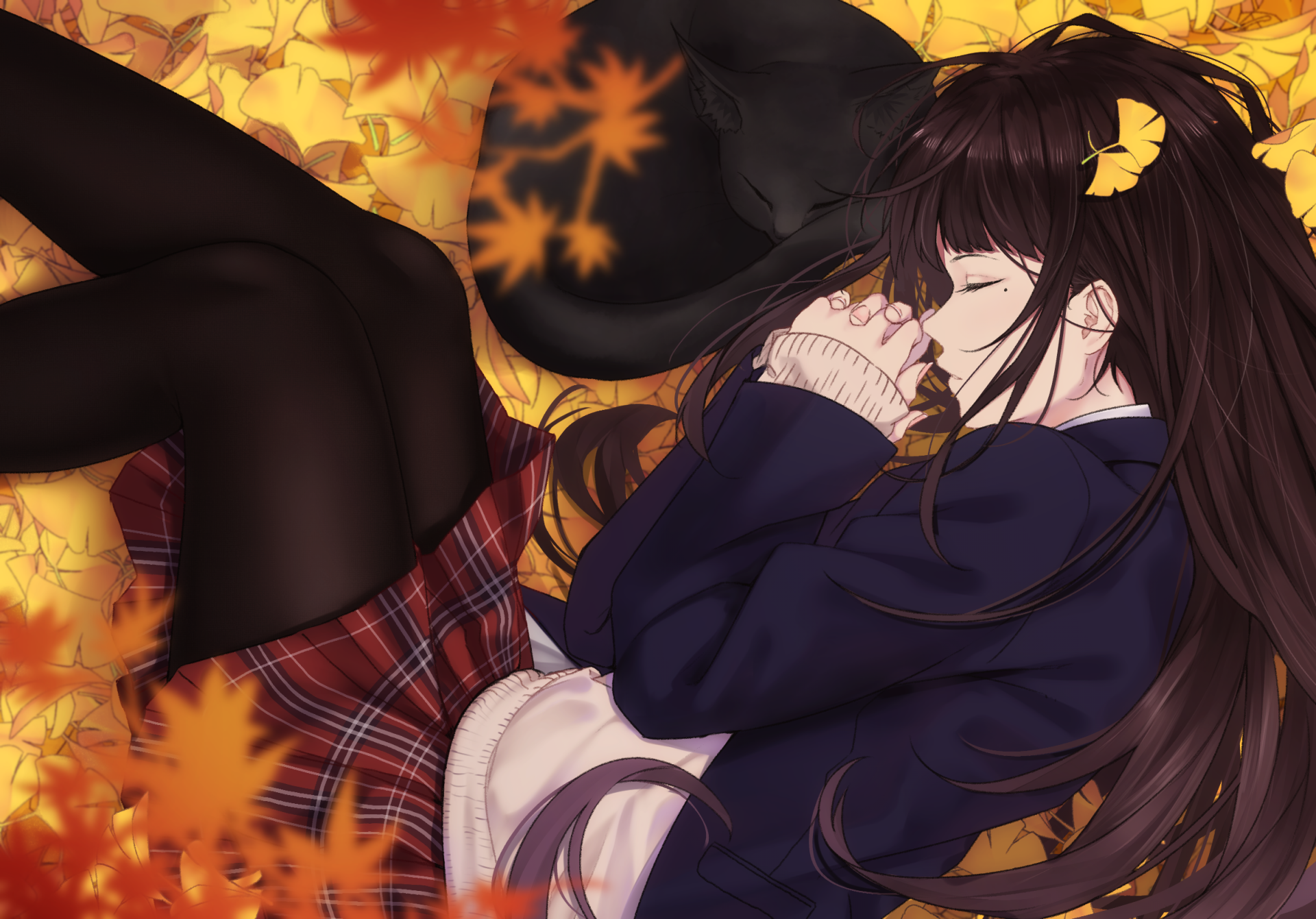 Anime Cat Dreams: HD Original Autumn Wallpaper by サイトー