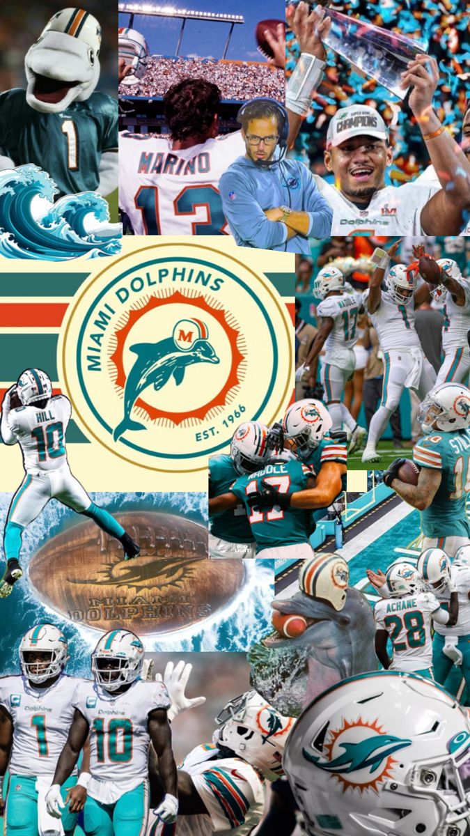 miami dolphins collage