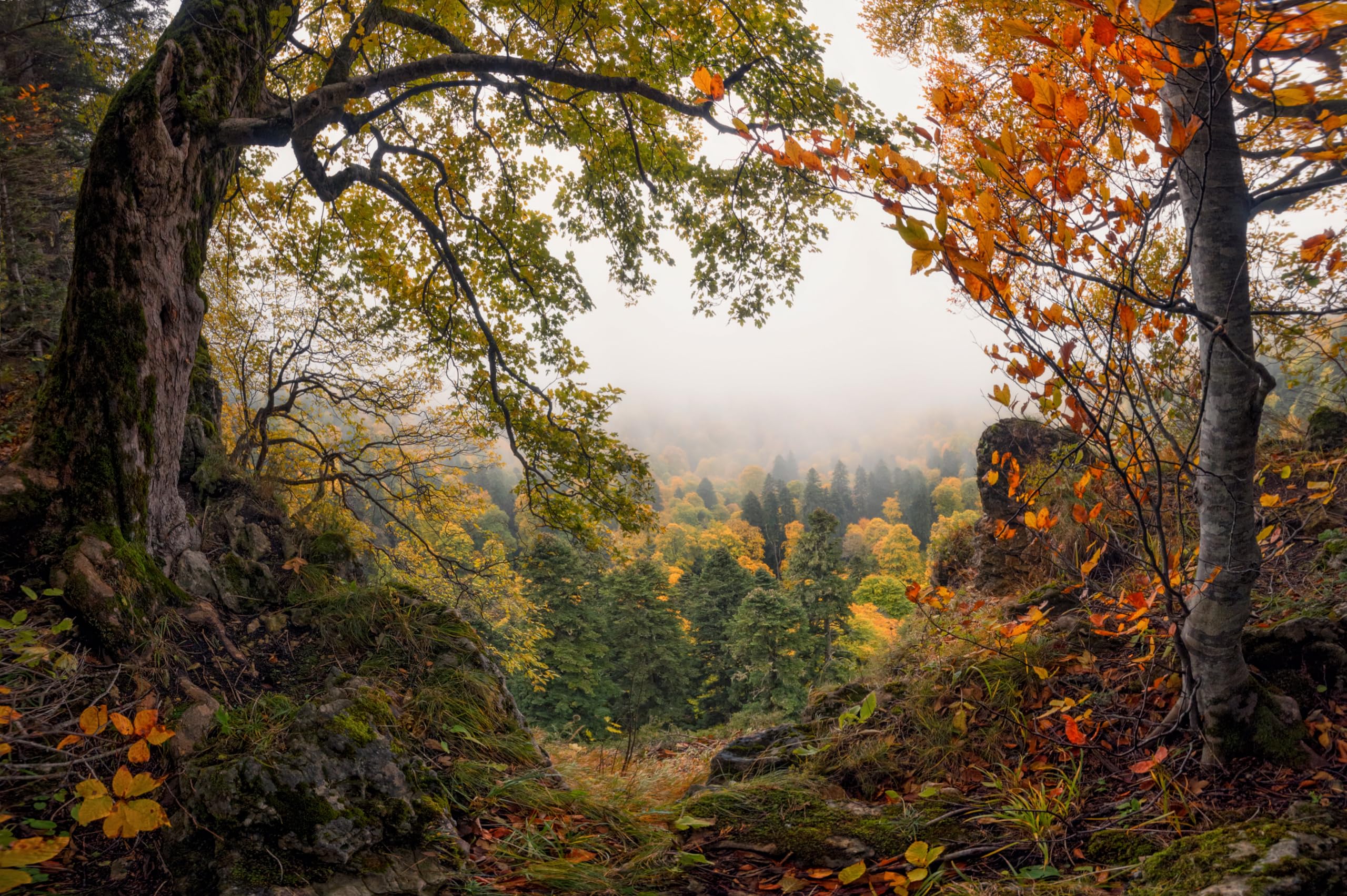 Amazon.com, CHNYWORK 5x4ft Autumn Forest Landscape Backdrop Mountain Misty Valley Enchanted Autumn Foggy Forest Background Autumn Hiking Camp Natural Party Decorations Photo Booth Studios Props Wallpaper