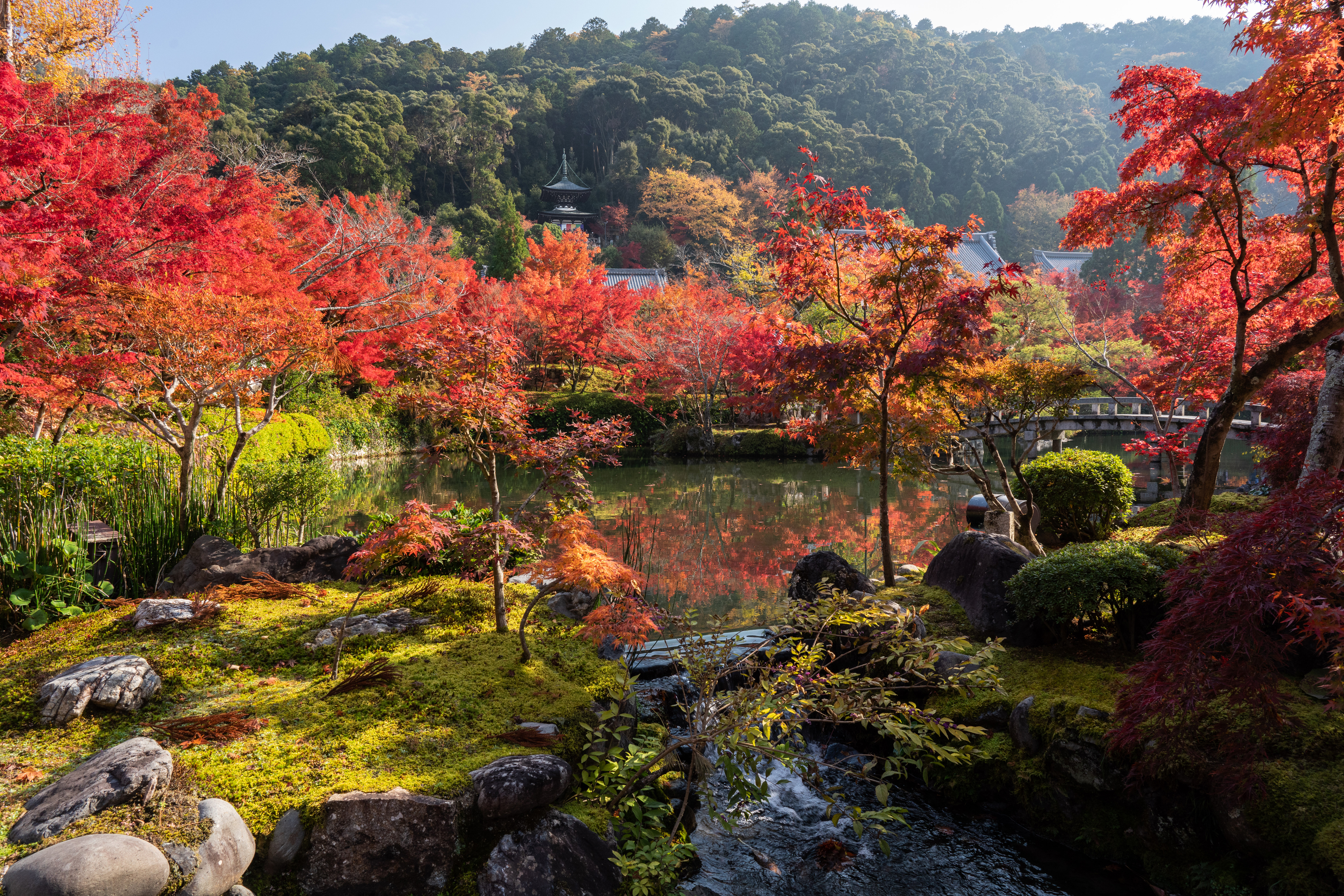 Desktop wallpaper: Japanese Garden, Man Made, Fall, Garden, Nature, Pond 4K free download for PC. 1532075