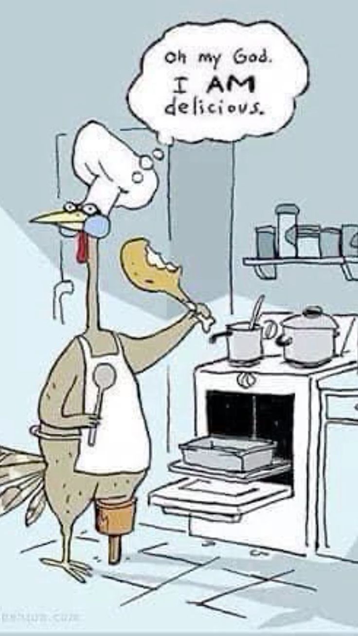 Pins by you. Thanksgiving jokes, Funny happy, Funny picture