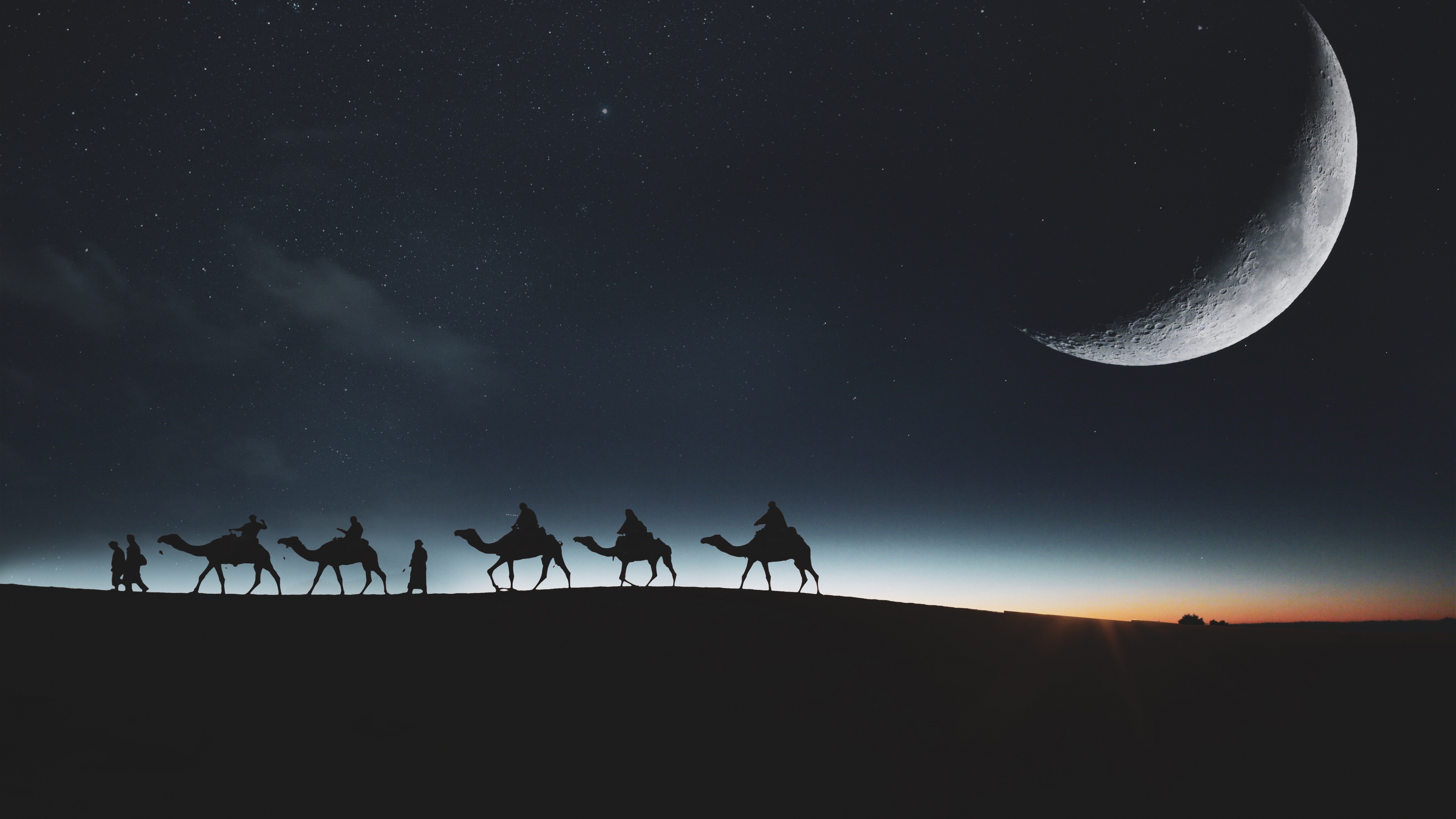 Camels Wallpaper 4K, Silhouette, Moon, Dark background