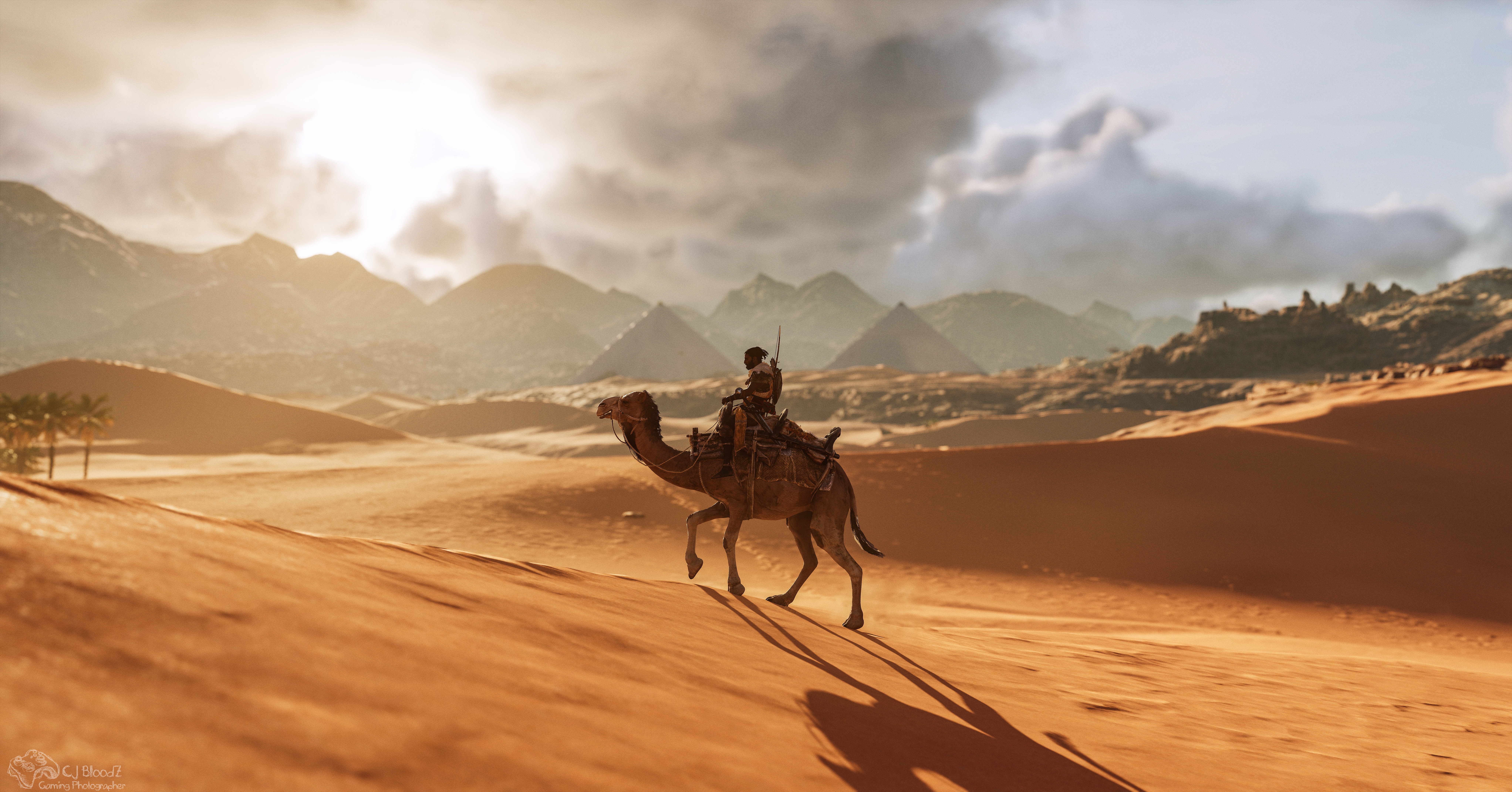 Camel Assassins Creed Origins 8k Wallpaper, HD Games Wallpaper, 4k Wallpaper Image, Background, Photos and Picture