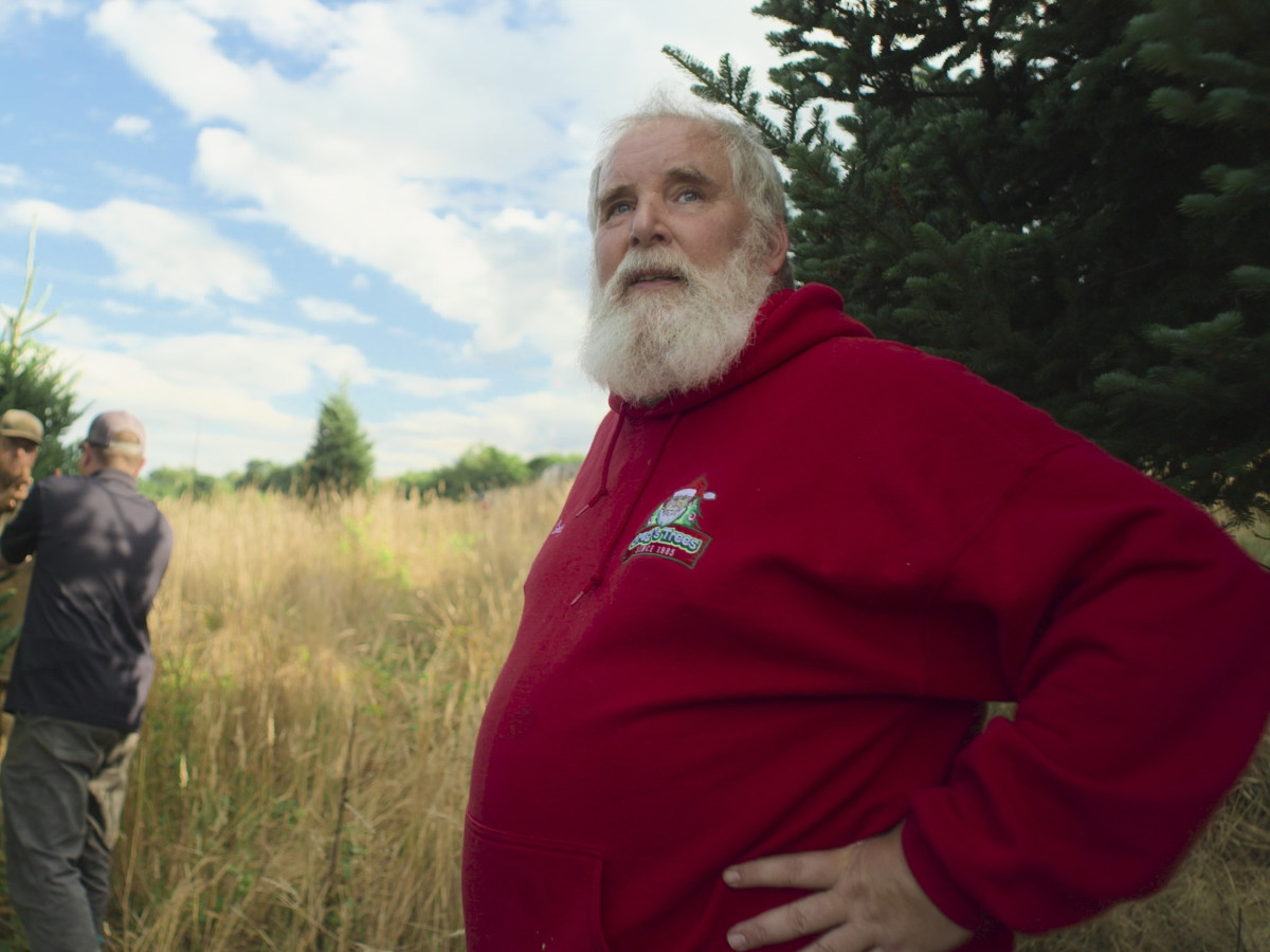 Inside NYC's Christmas Tree Trade: Prime Video's The Merchants of Joy
