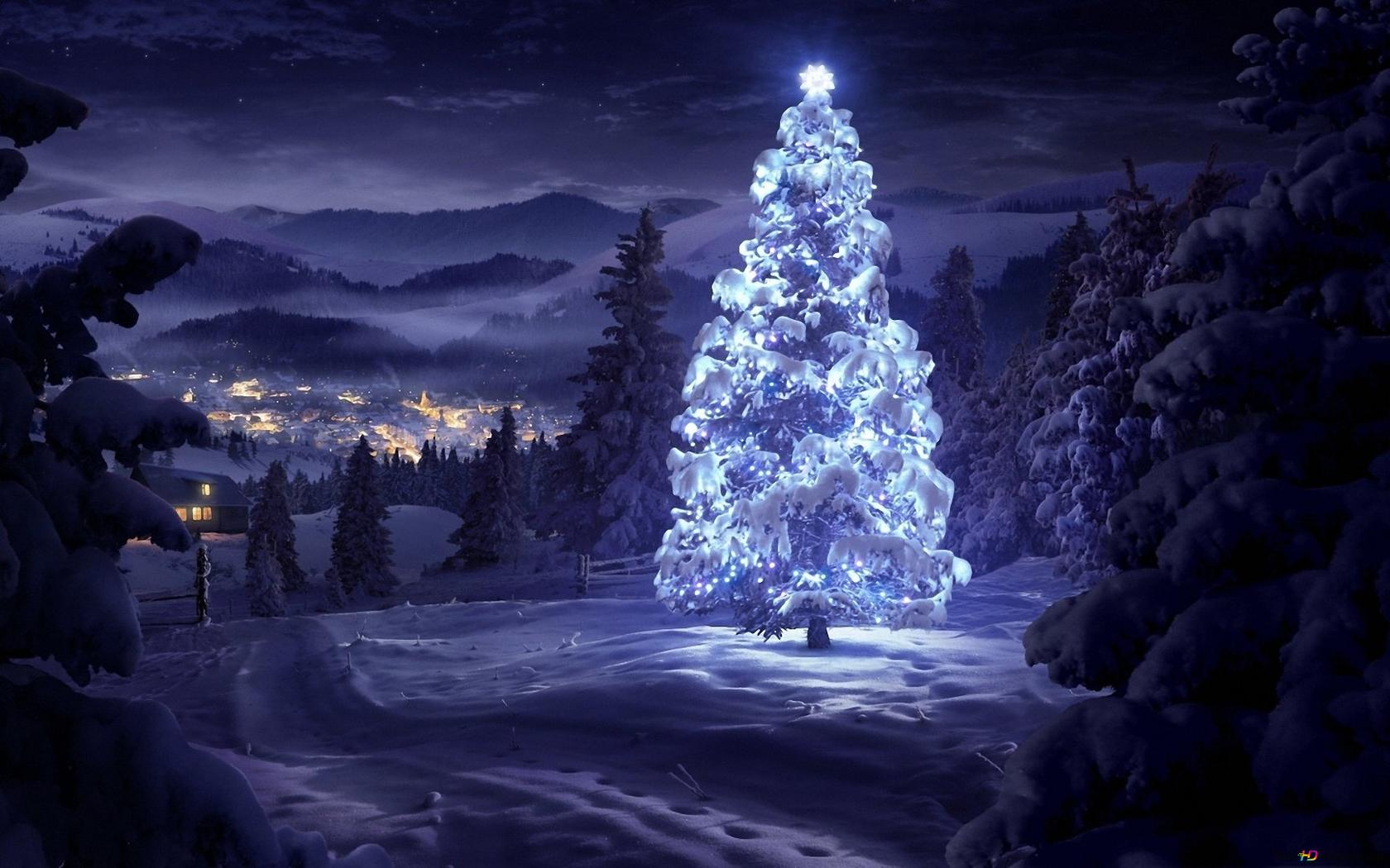 Night Purple Christmas HD wallpaper download