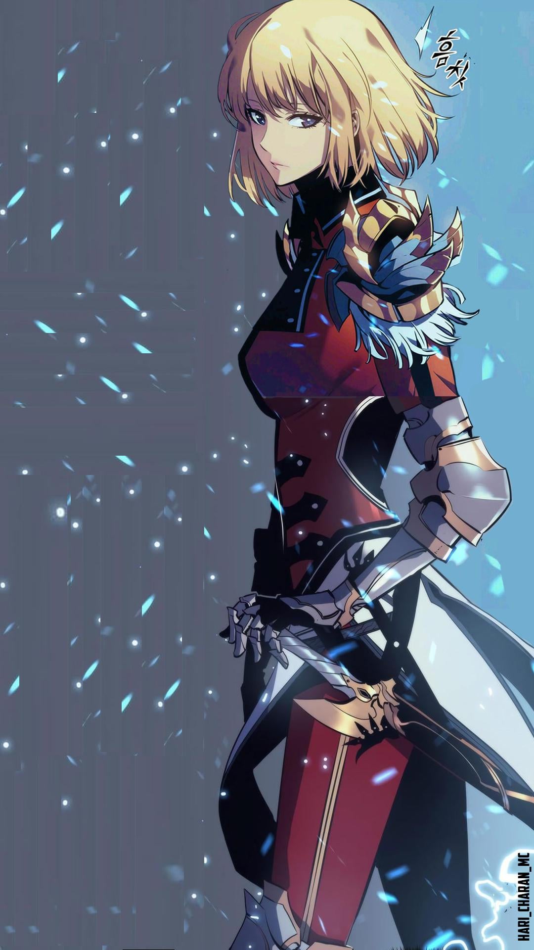 Waifu material wallpaper rank hunter Cha Hae in