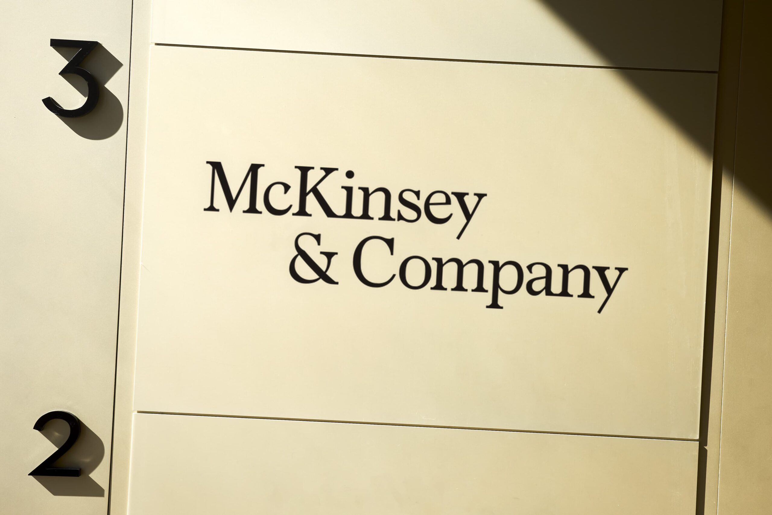 McKinsey partner destroyed records to hide role in crisis • The North Star