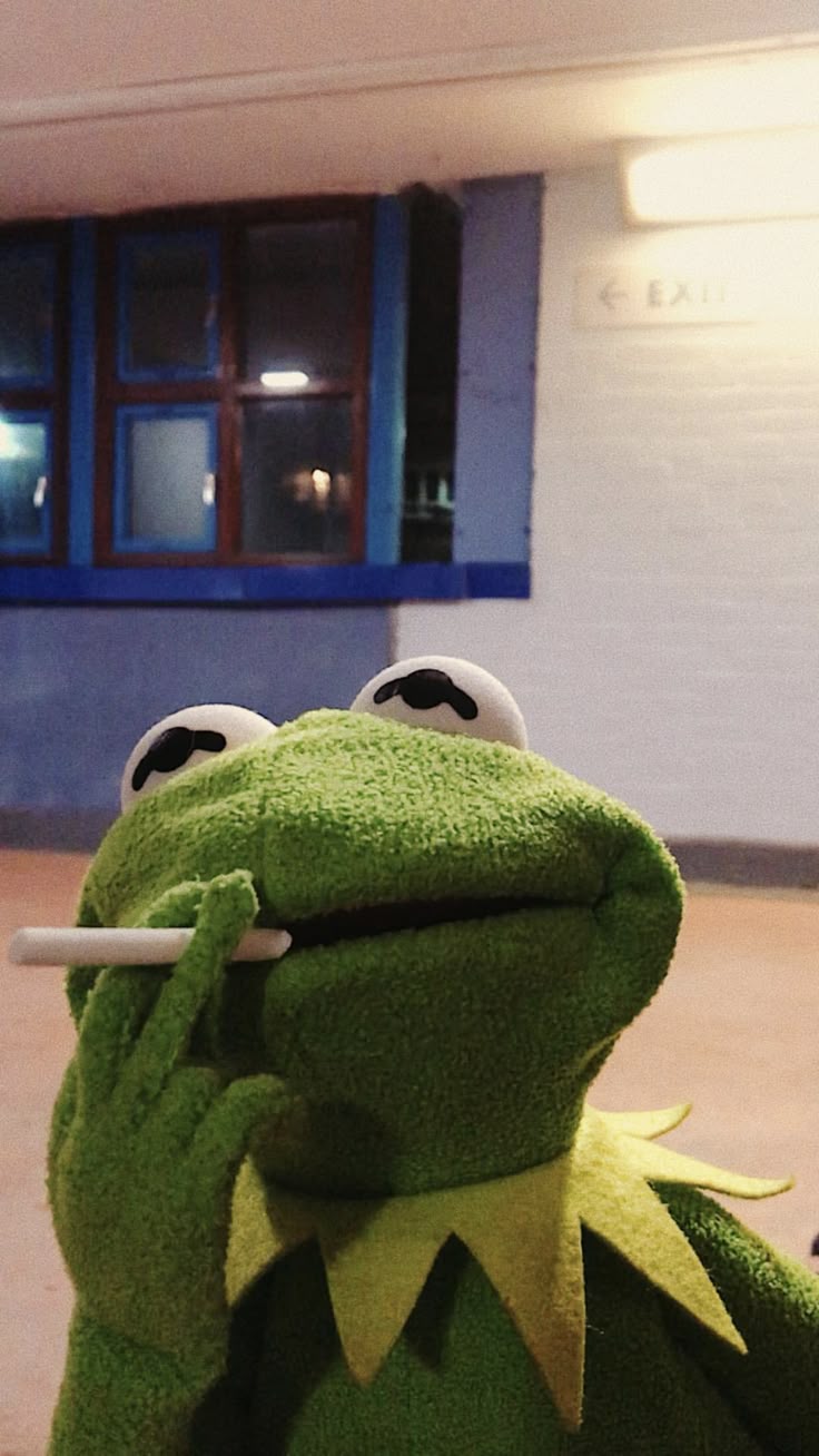 pretty wallpaper. Frog wallpaper, Kermit, Frog