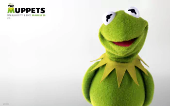 Kermit The Frog Wallpaper
