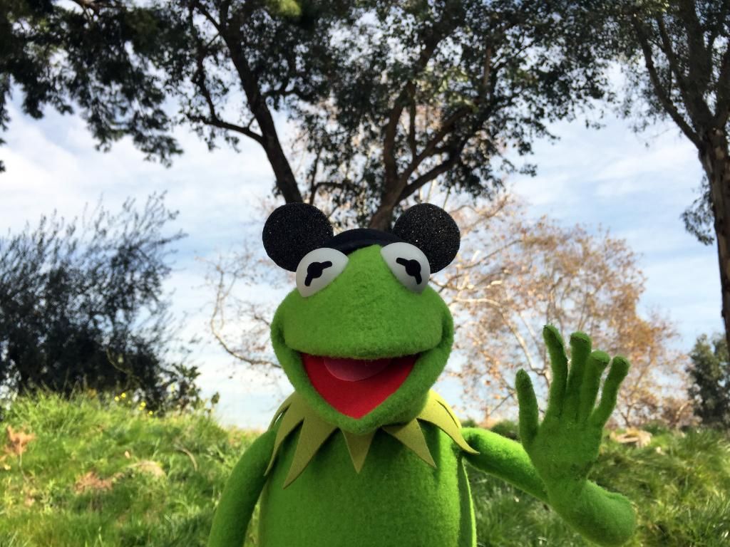 Kermit the Frog on X