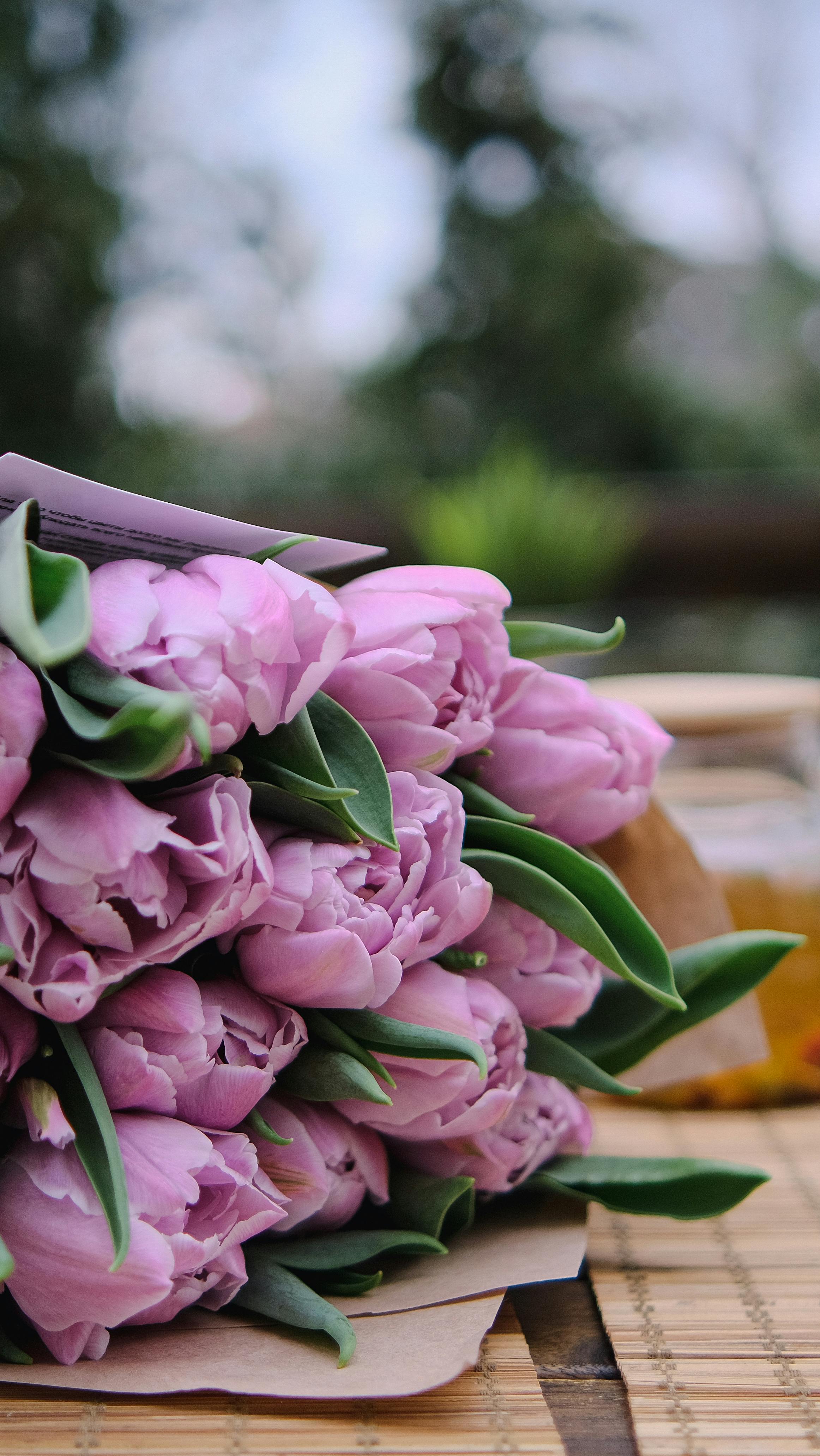 Close Up Shot Of Purple Flowers · Free