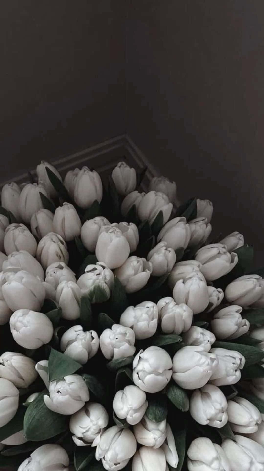 Download White Tulips Bouquet Aesthetic Wallpaper