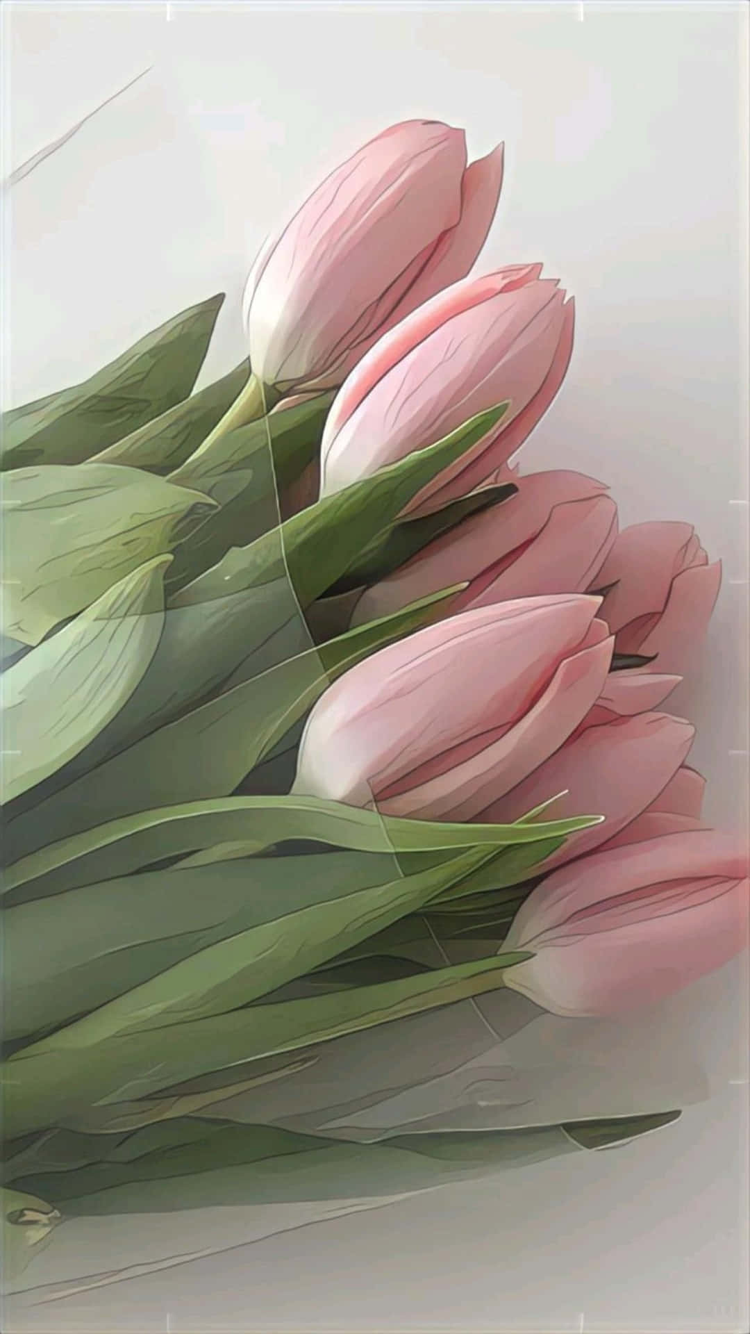 Download Elegant Pink Tulips Bouquet Wallpaper