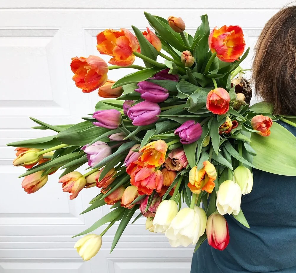 Tulip Bouquet. Modern Artistic Flower Arrangement Delivery in Los Angeles County