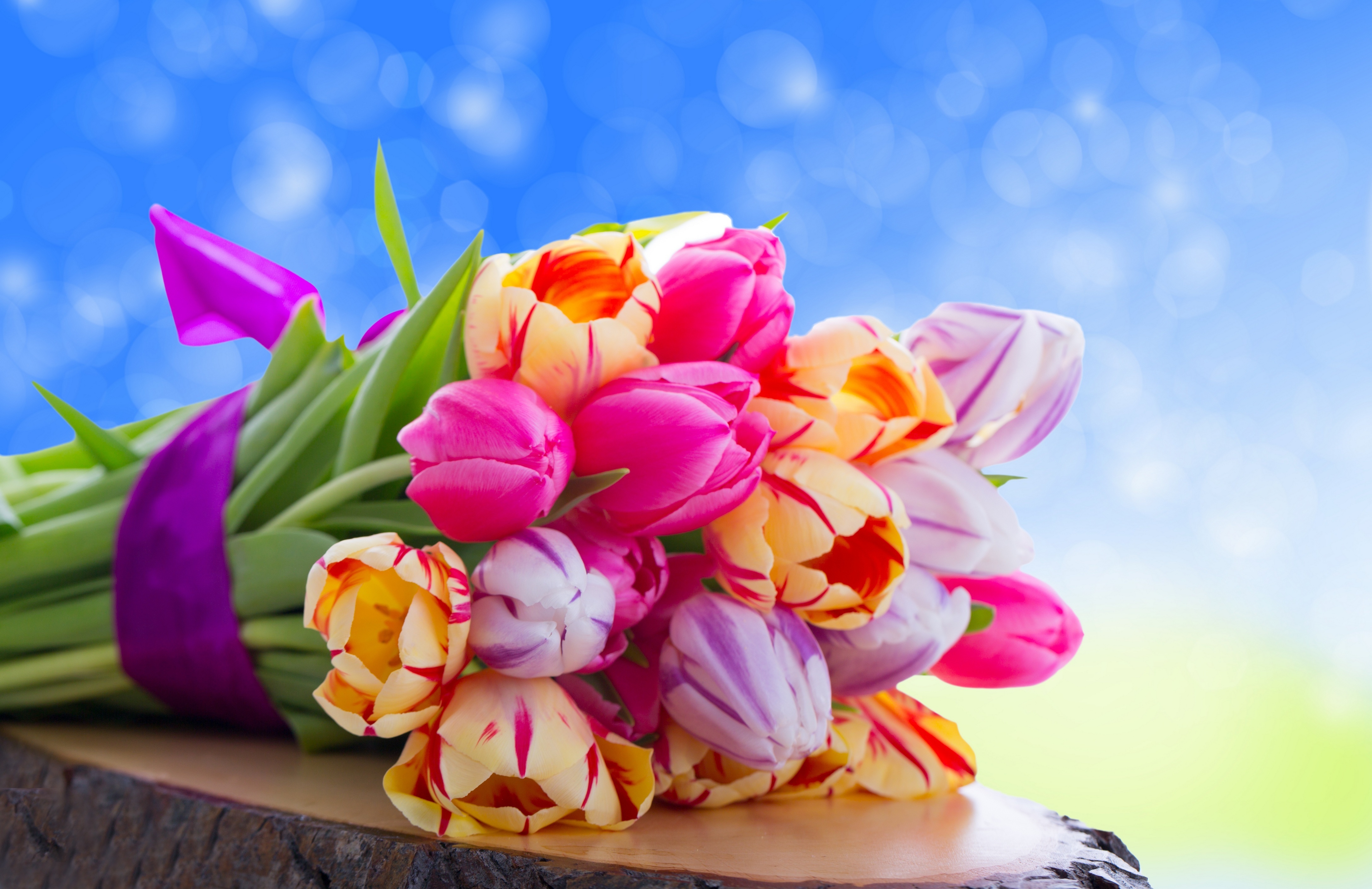 Wallpaper Pink and Yellow Tulips Bouquet, Background Free Image