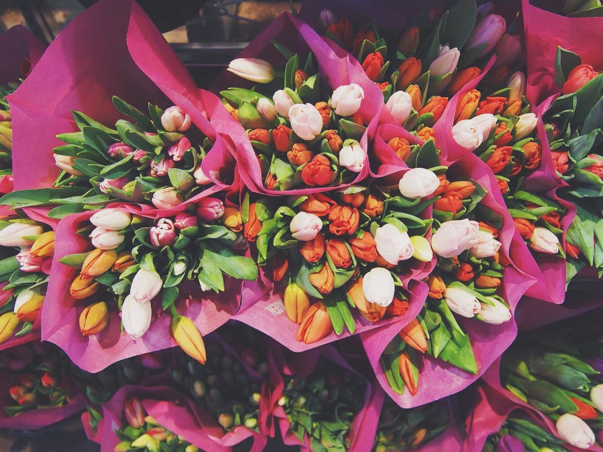Free picture: arrangement, tulip, bouquet, flower, plant, flowers, market