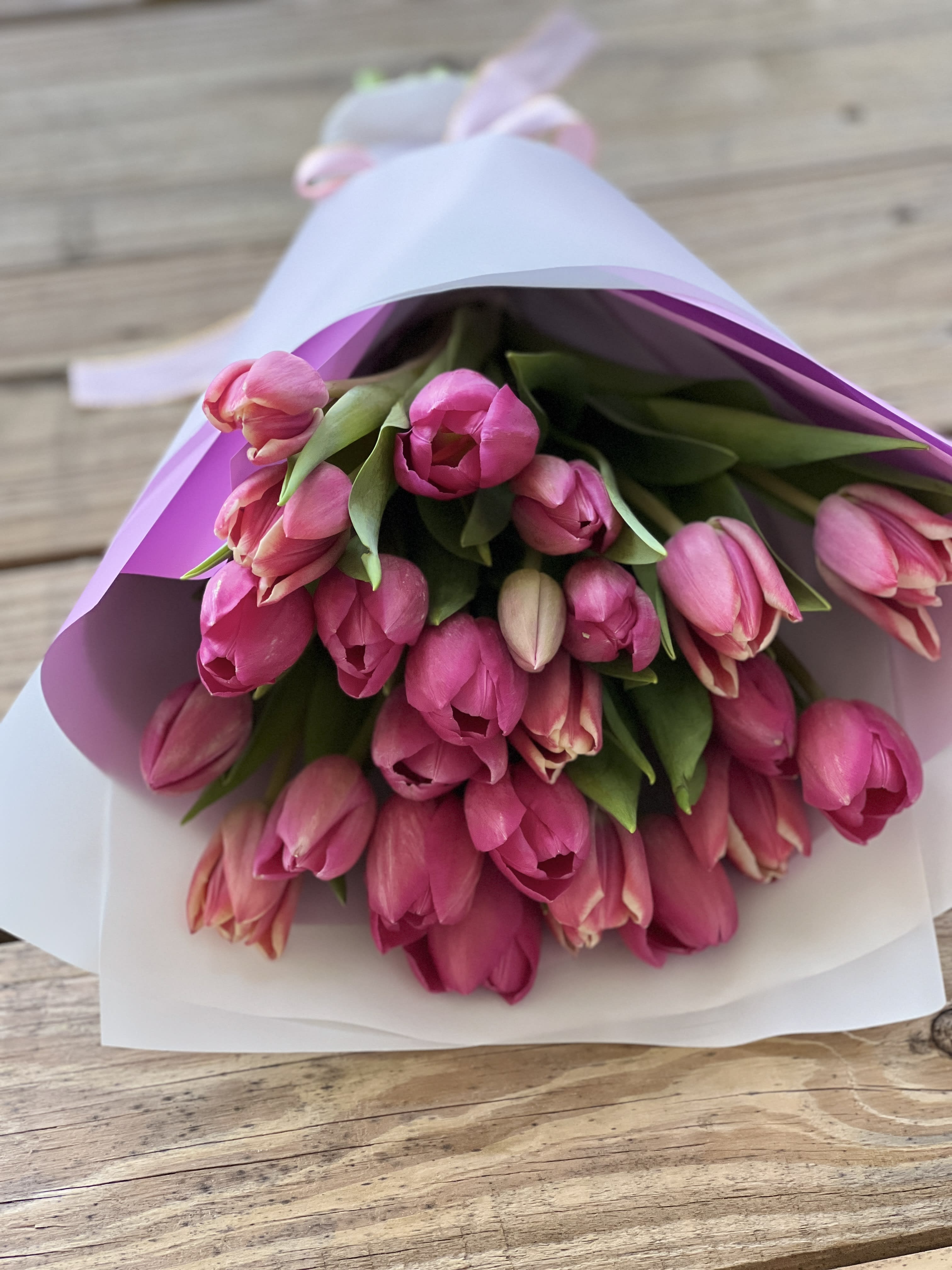 Tulips in Trinity, FL