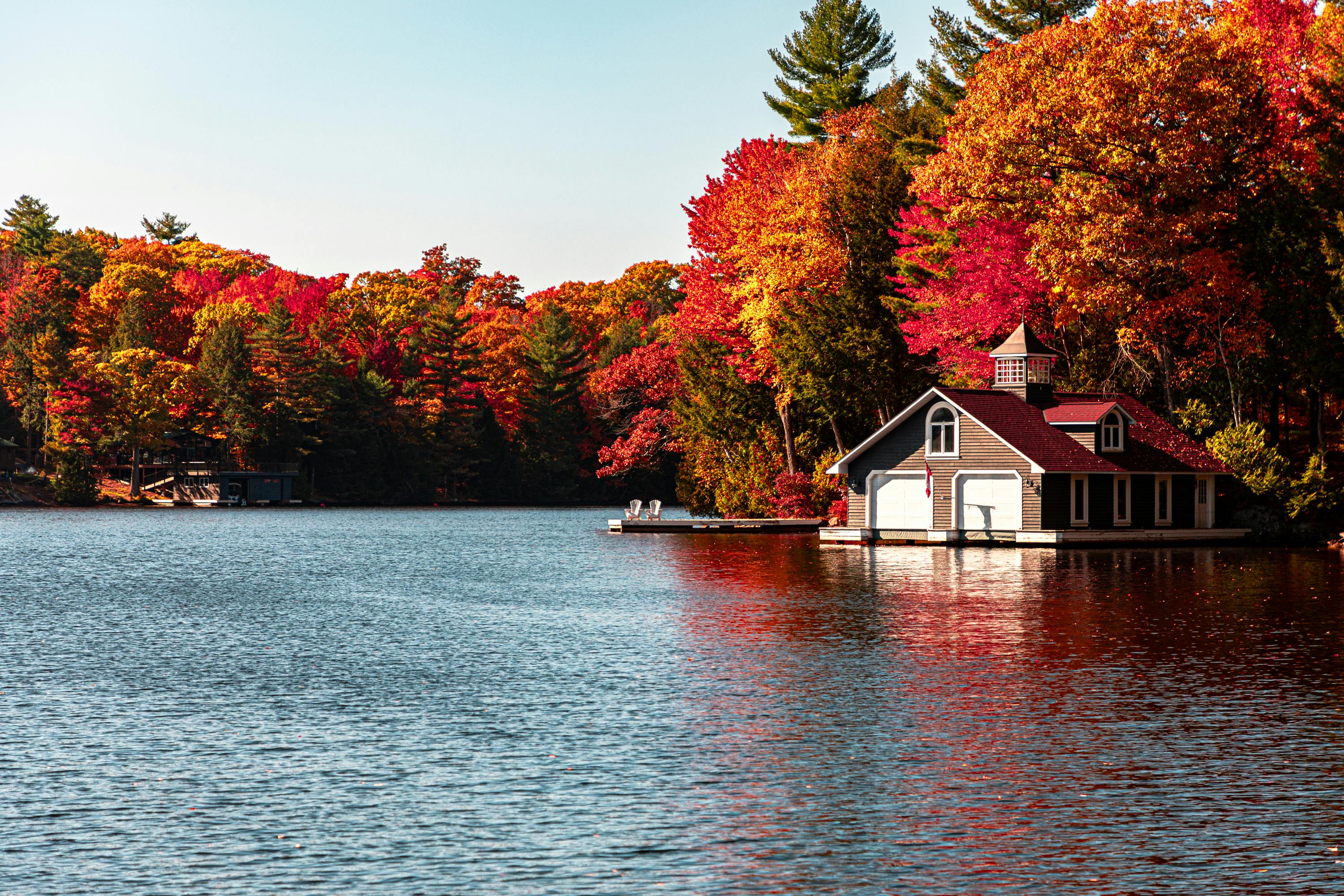 Cabin on Lakeshore in Forest in Autumn · Free