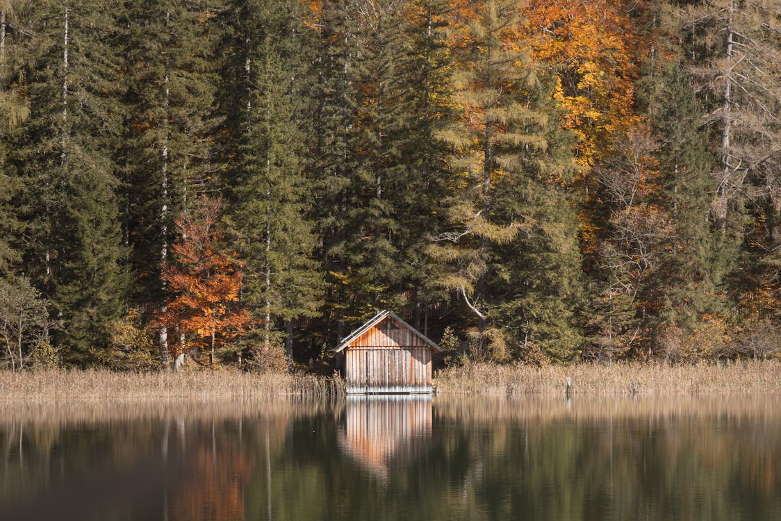 Tranquil Cabin by Autumn Lake in Styria · Free