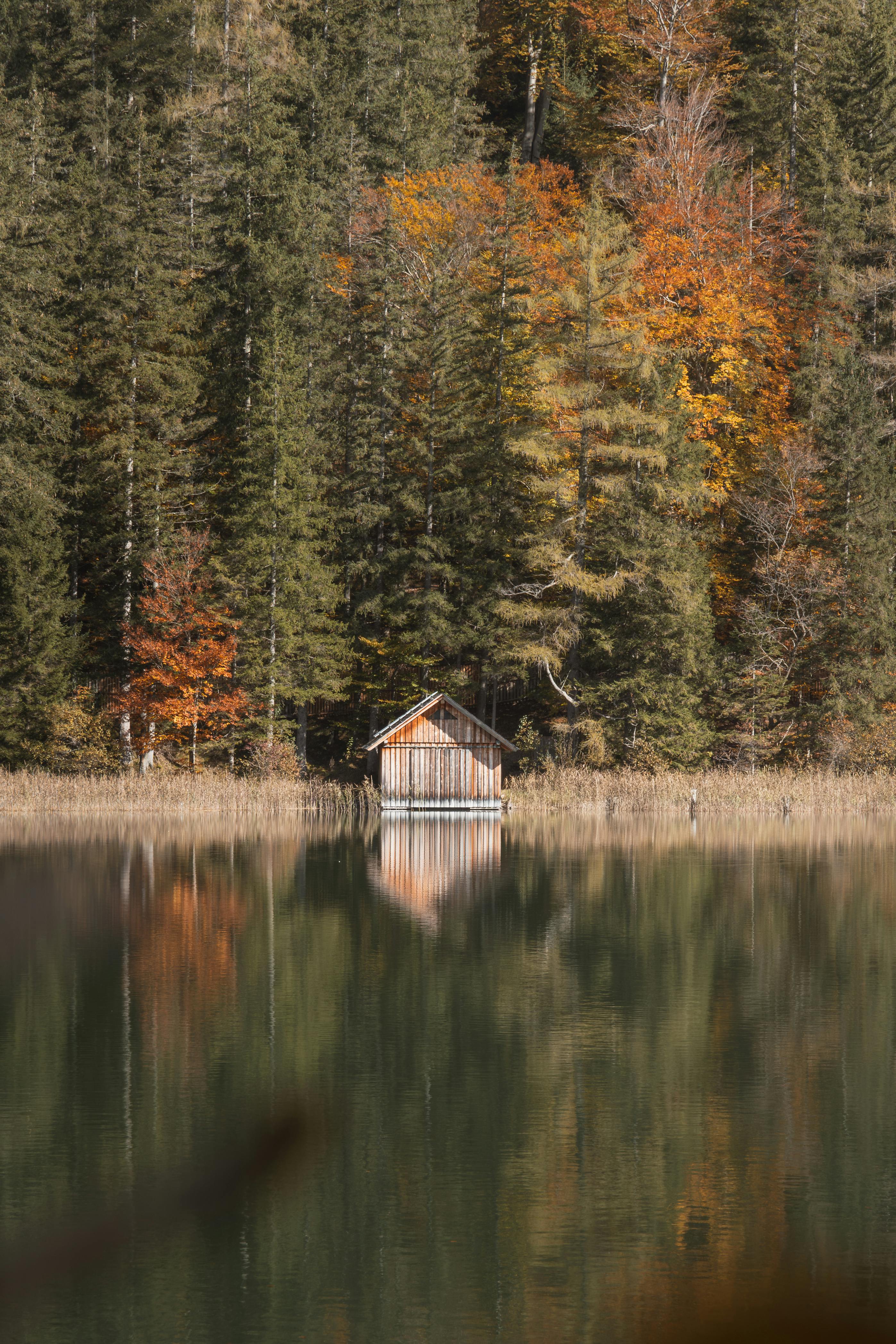 Rustic Cabin Reflecting on Autumn Lake in Austria · Free
