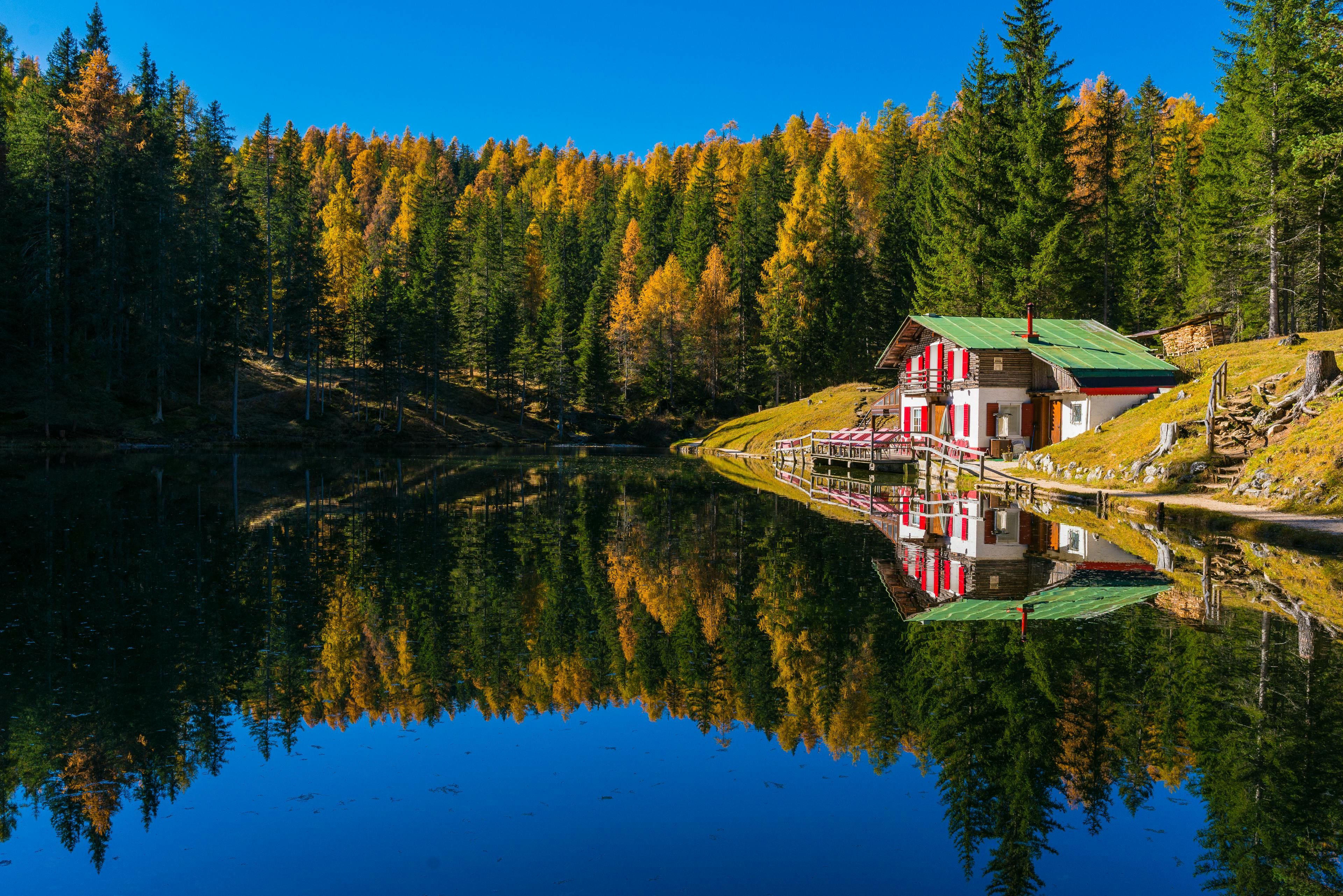 House Beside Lake Surrounded by Trees · Free