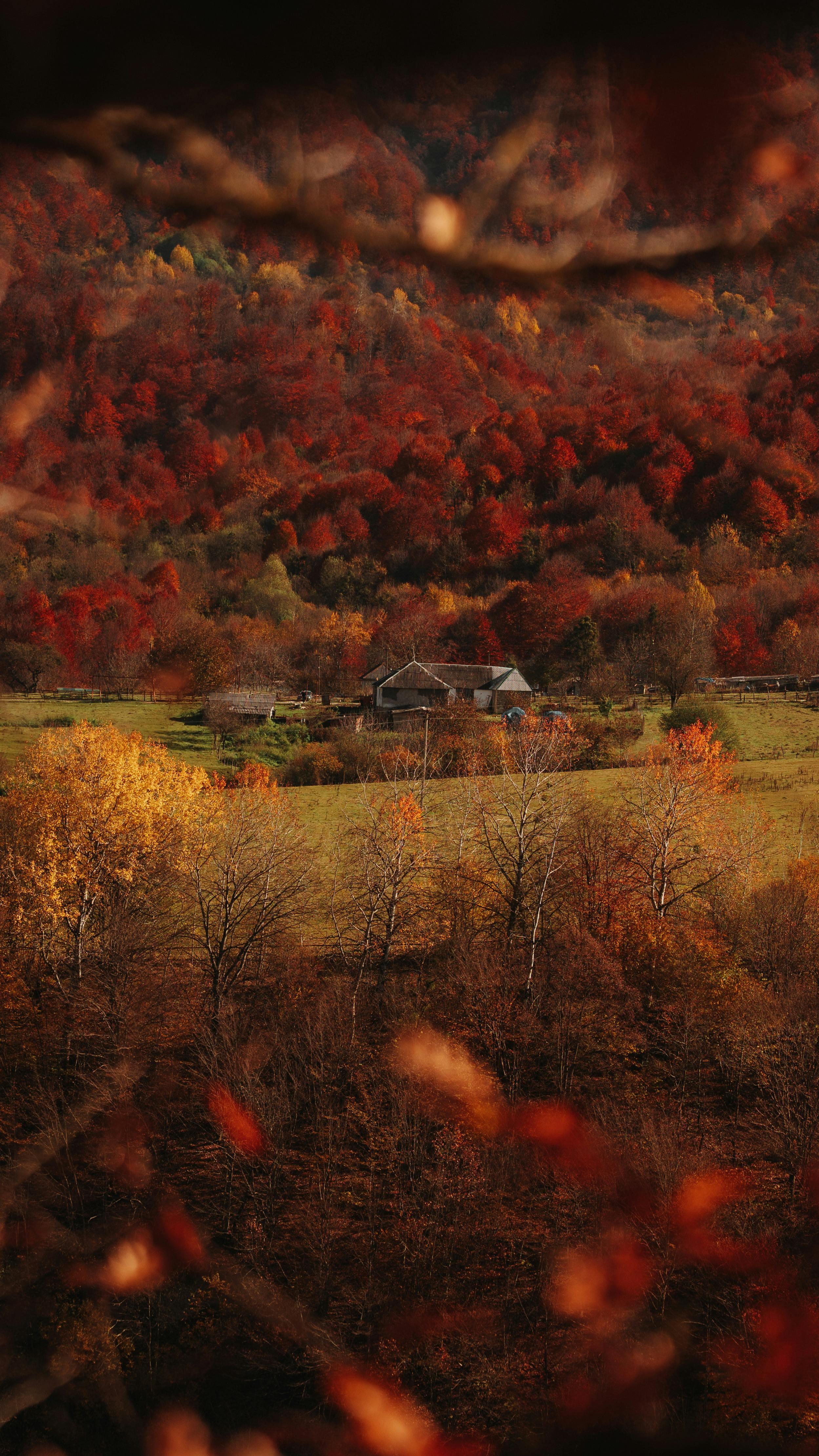 Scenic Autumn Landscape with Rustic Cabin · Free