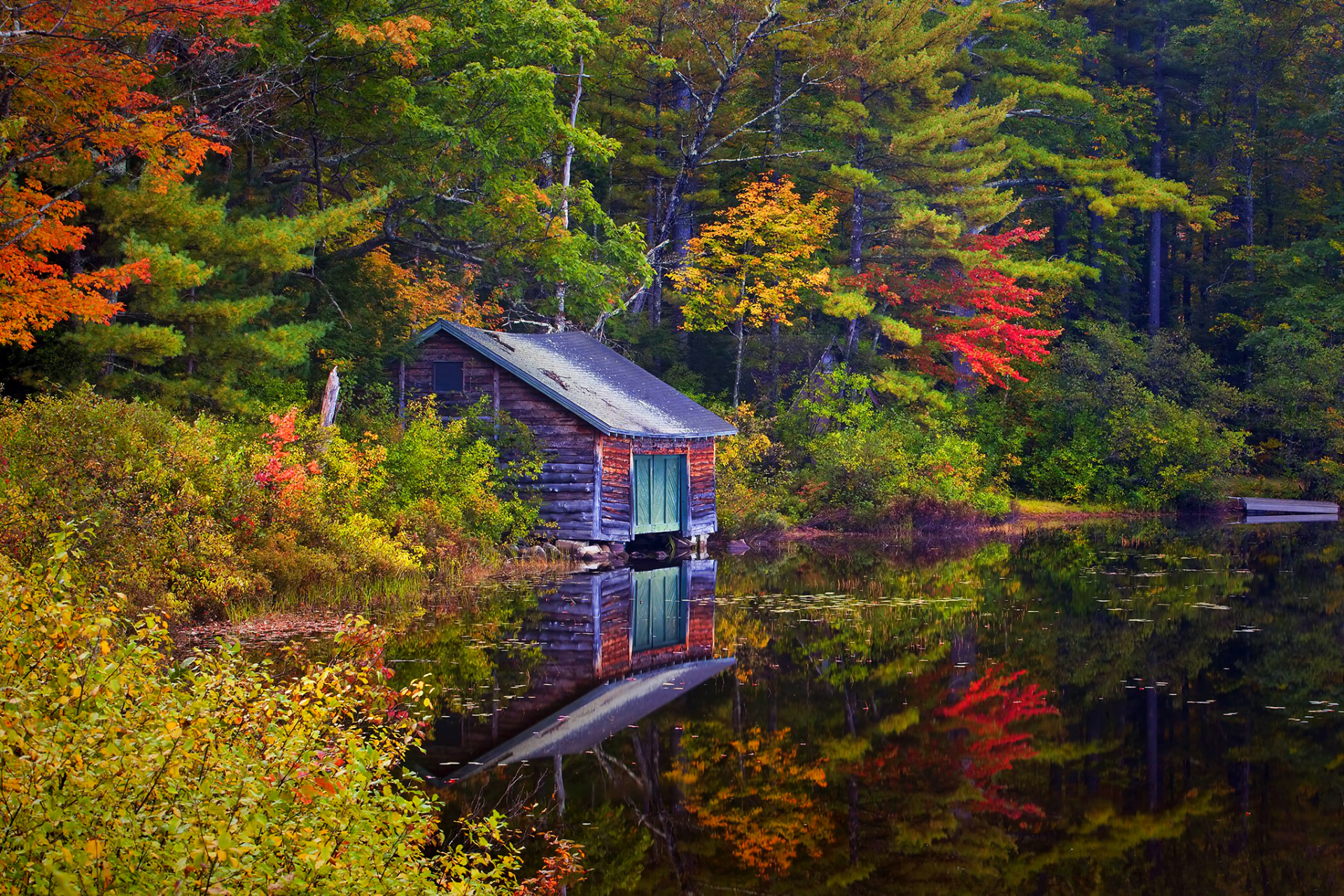 Download Reflection Tree Fall Lake Man Made Cabin HD Wallpaper