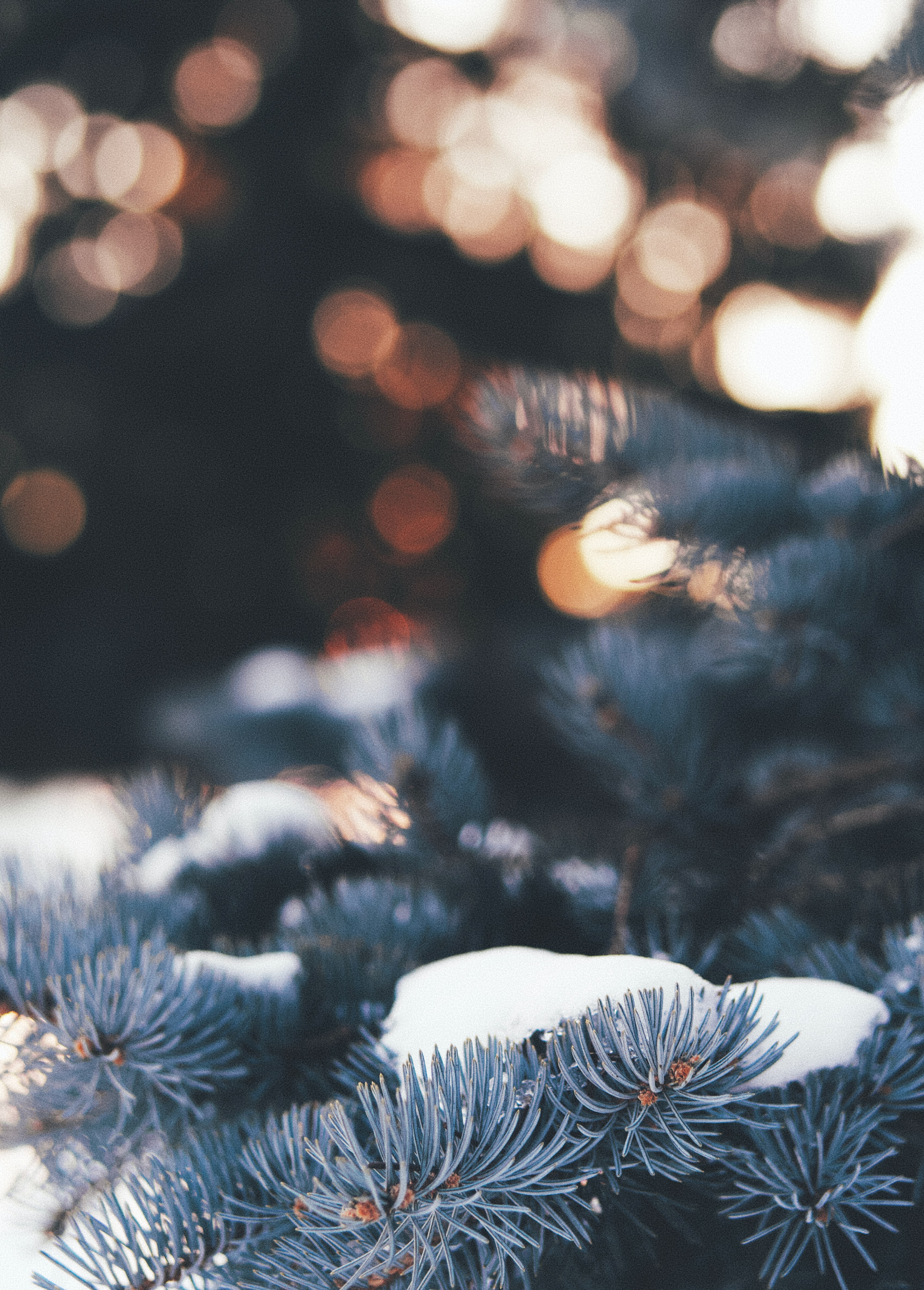 Aesthetic Winter Mobile Wallpapers - Wallpaper Cave