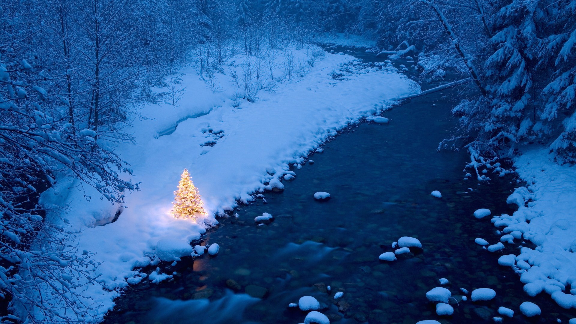 Winter Christmas Tree, High Definition, High Quality, Widescreen