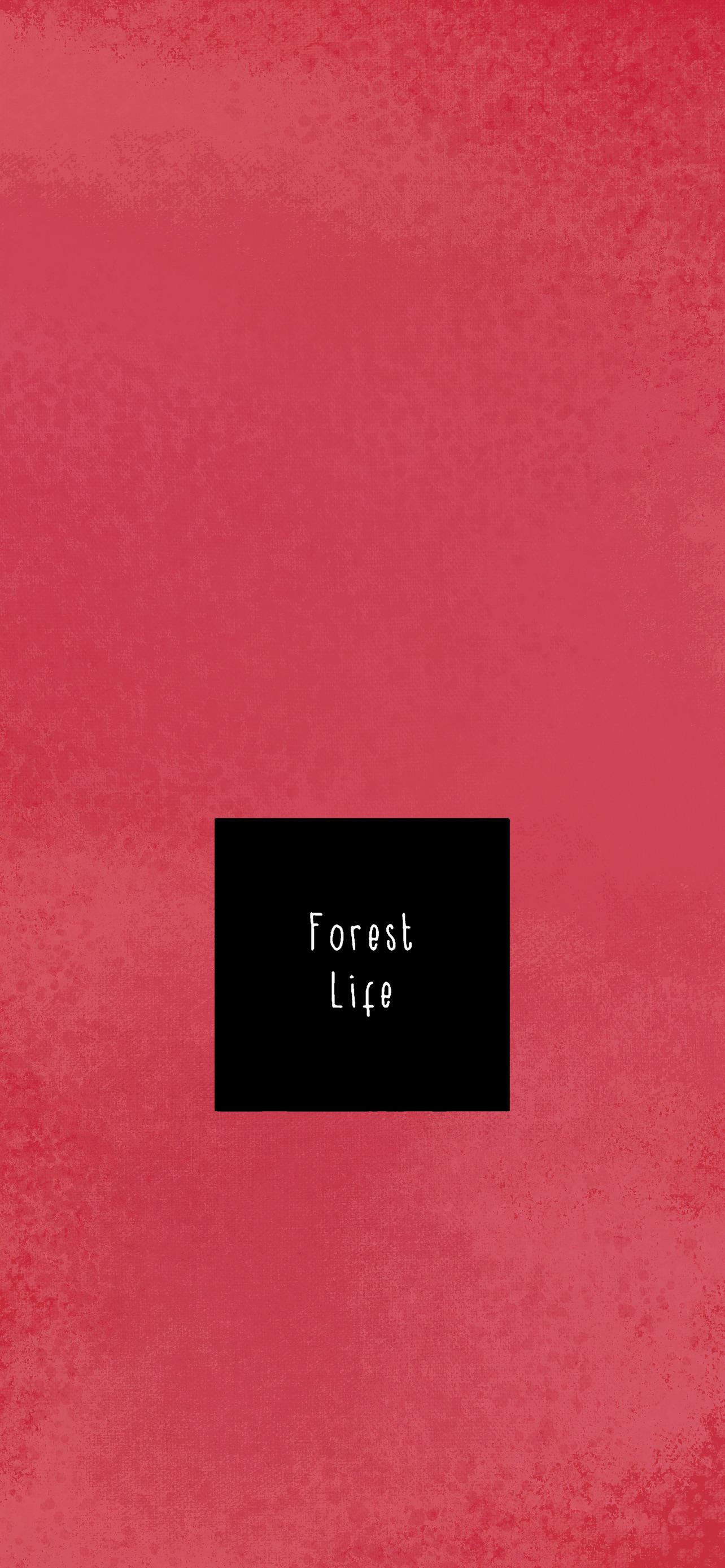 McCafferty Albums as Wallpaper