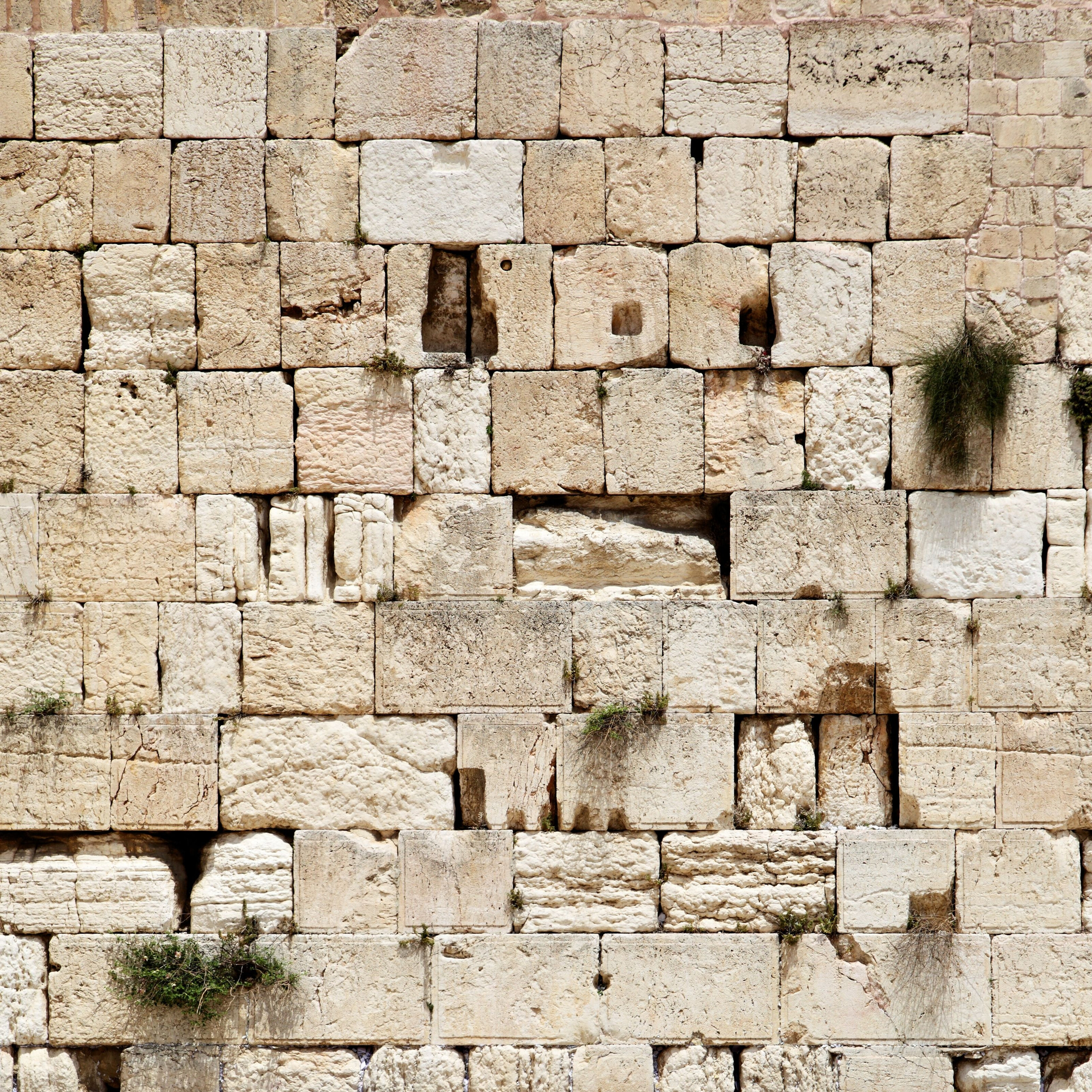 Wailing Wall Of Jerusalem Wall Mural
