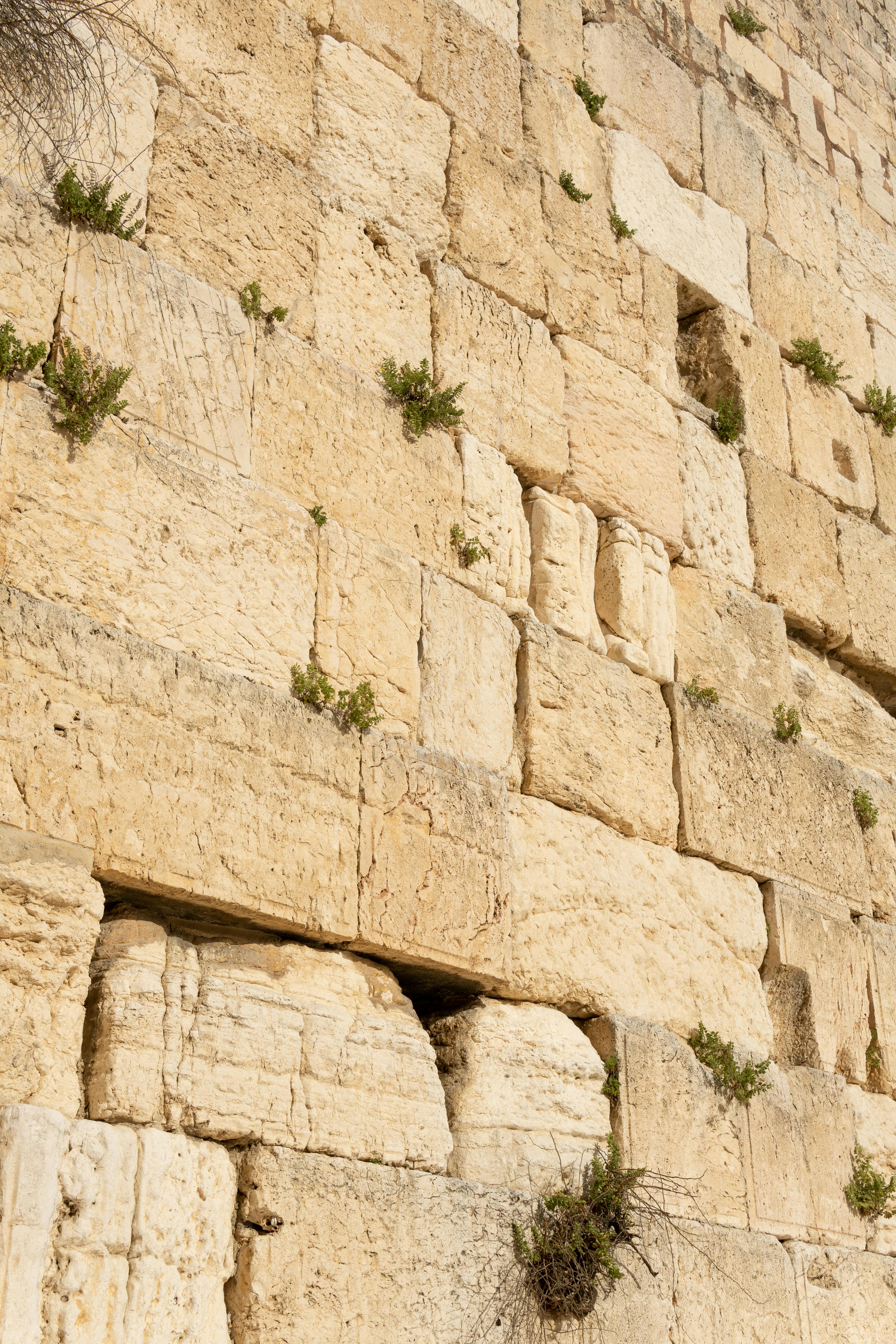 Ancient Wailing Wall in Jerusalem, Israel · Free